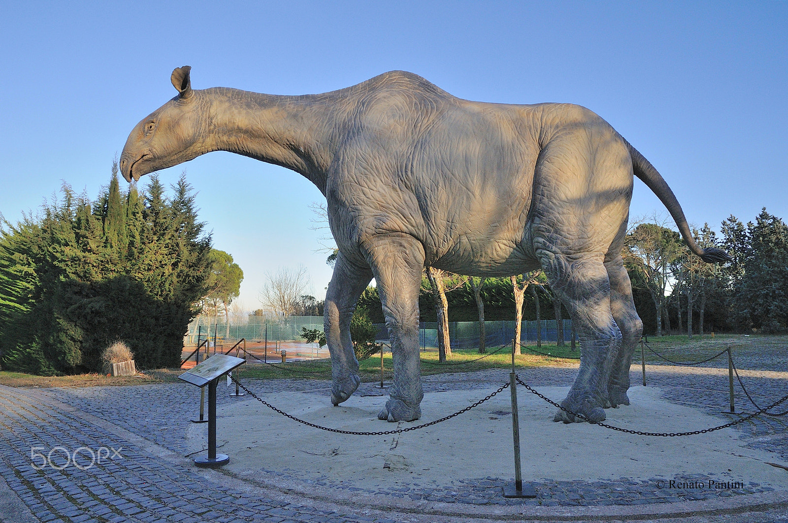 Nikon D300S sample photo. Indricotherium transoularicum. photography
