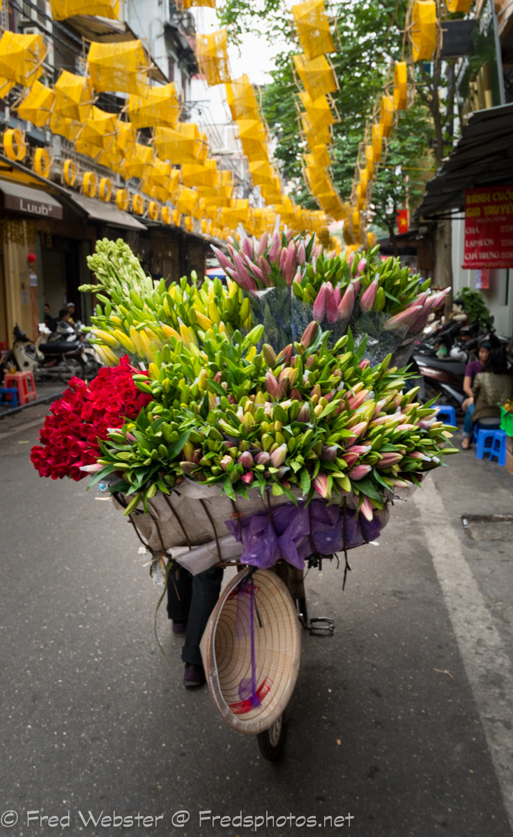 Nikon D600 + Nikon AF-S Nikkor 18-35mm F3.5-4.5G ED sample photo. Flower lady photography