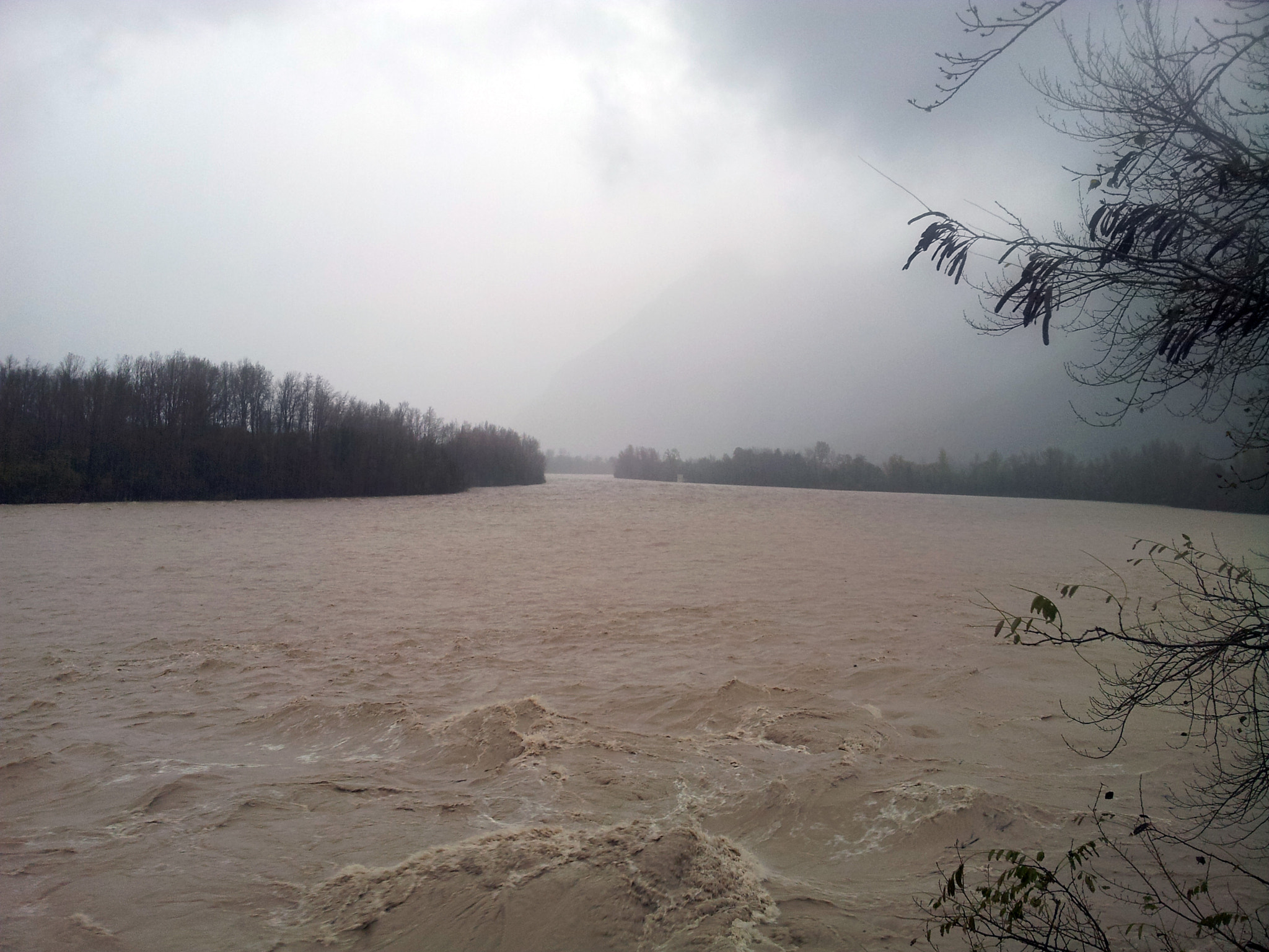Samsung Galaxy Note sample photo. Piena tagliamento photography