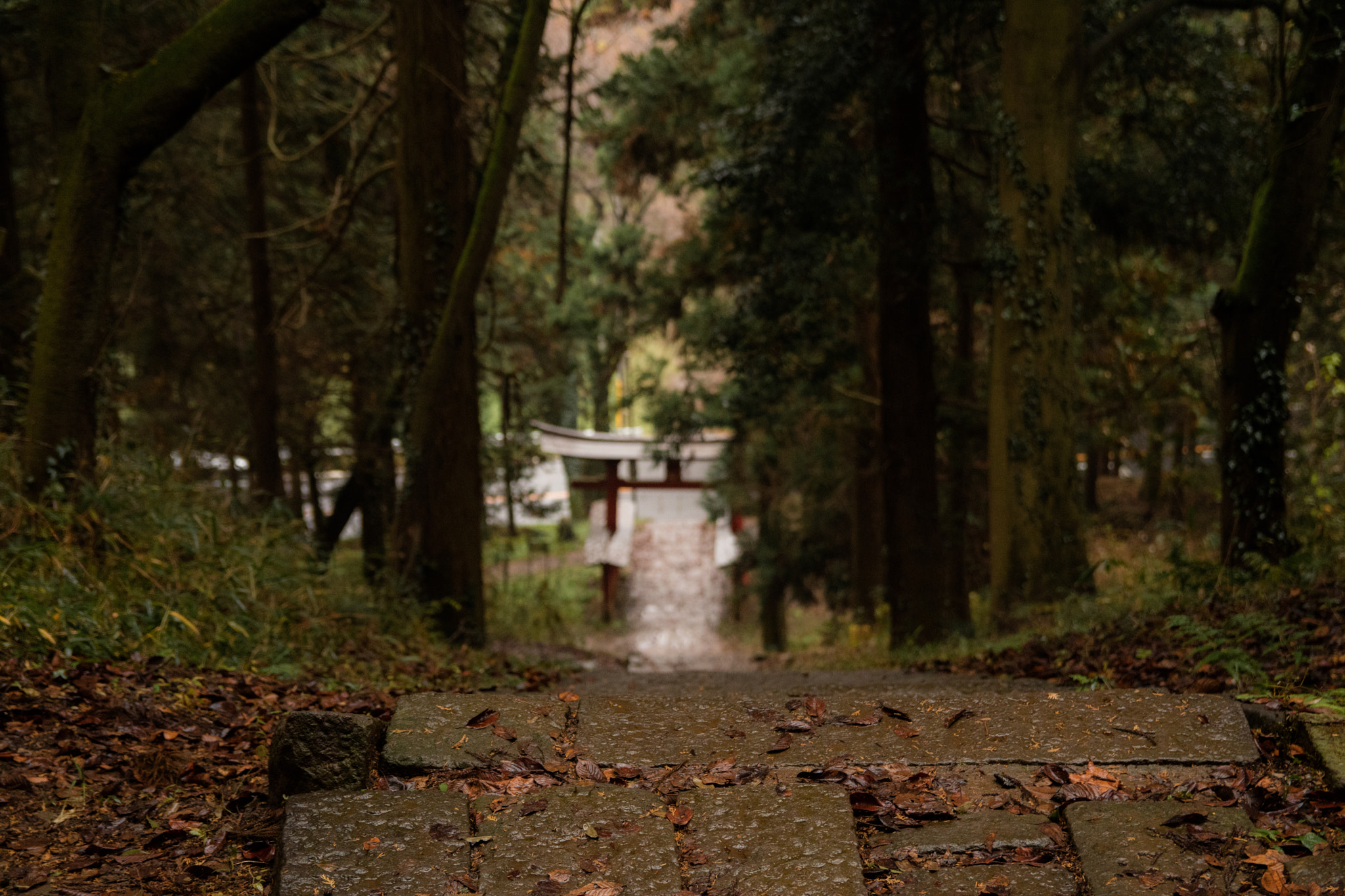 Canon EOS M3 sample photo. Behind photography