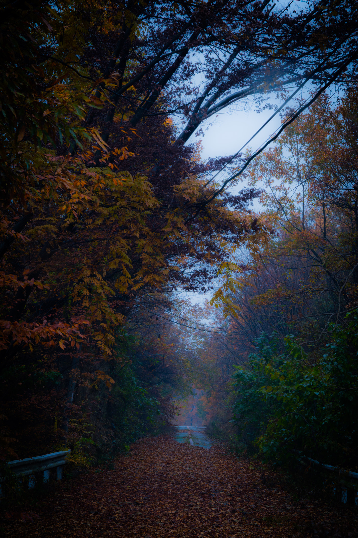 Canon EOS M3 sample photo. Fog photography
