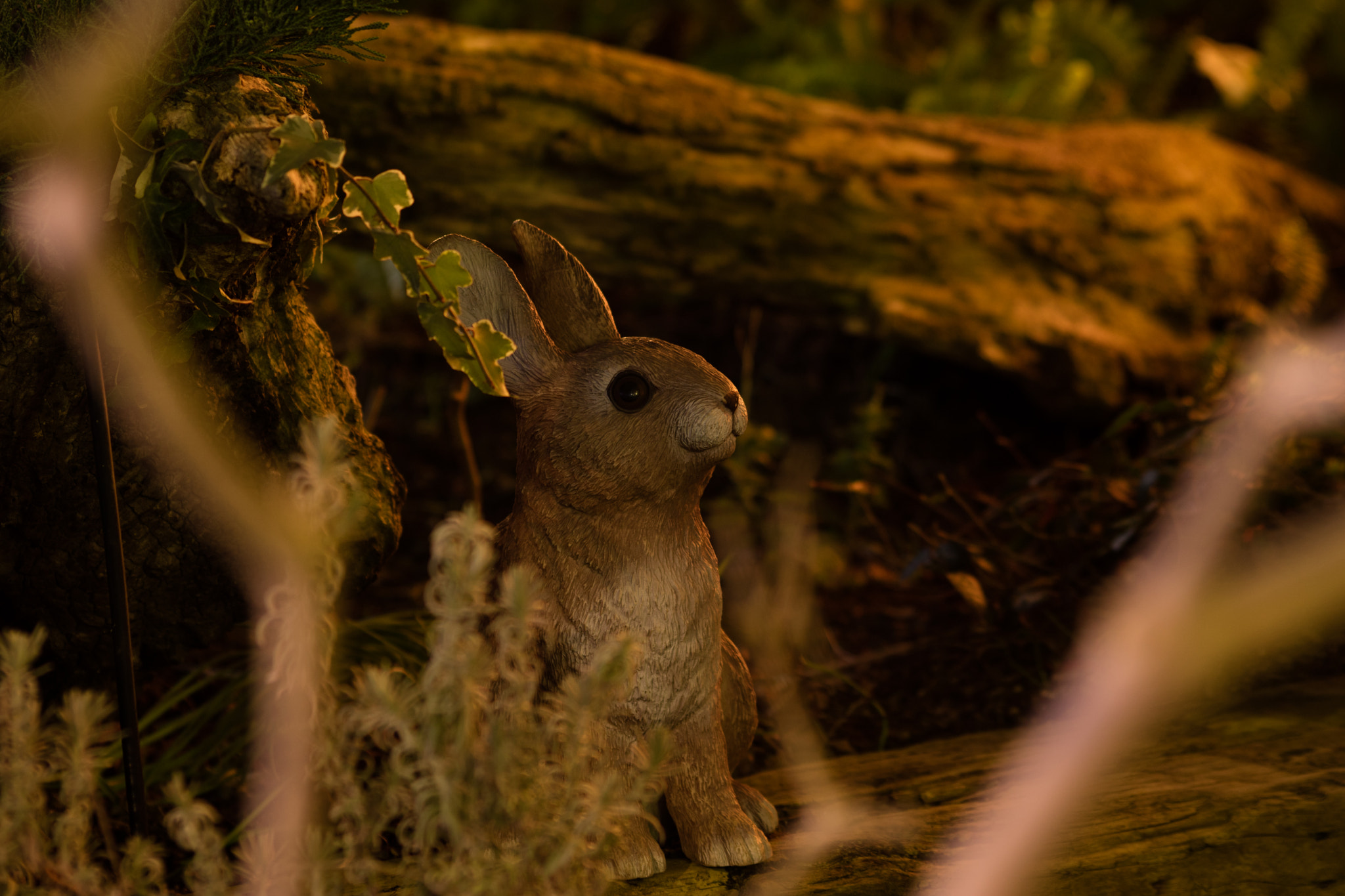 Canon EOS M3 sample photo. Squirrel photography