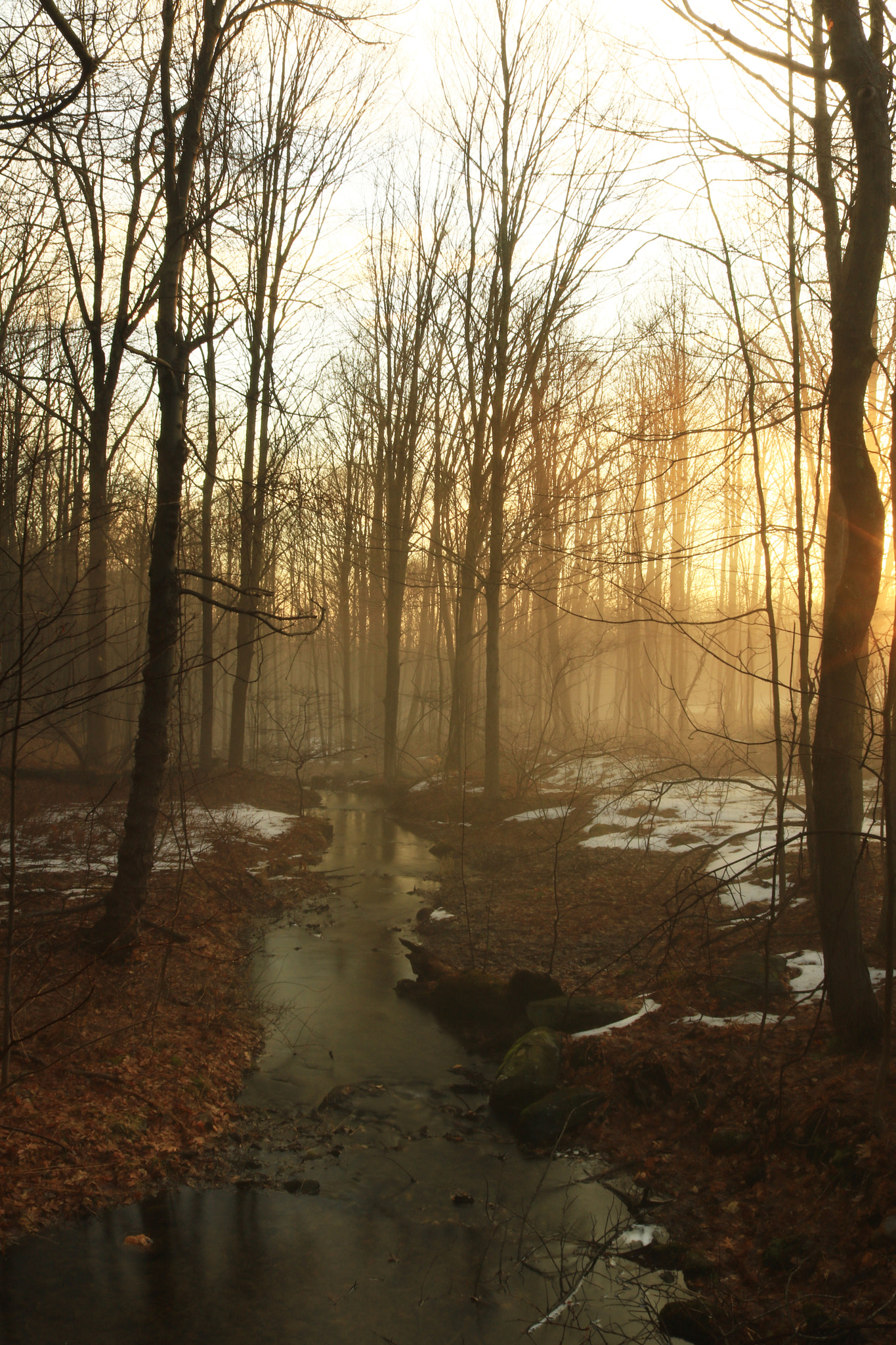 Canon EOS 750D (EOS Rebel T6i / EOS Kiss X8i) sample photo. Spring thaw photography