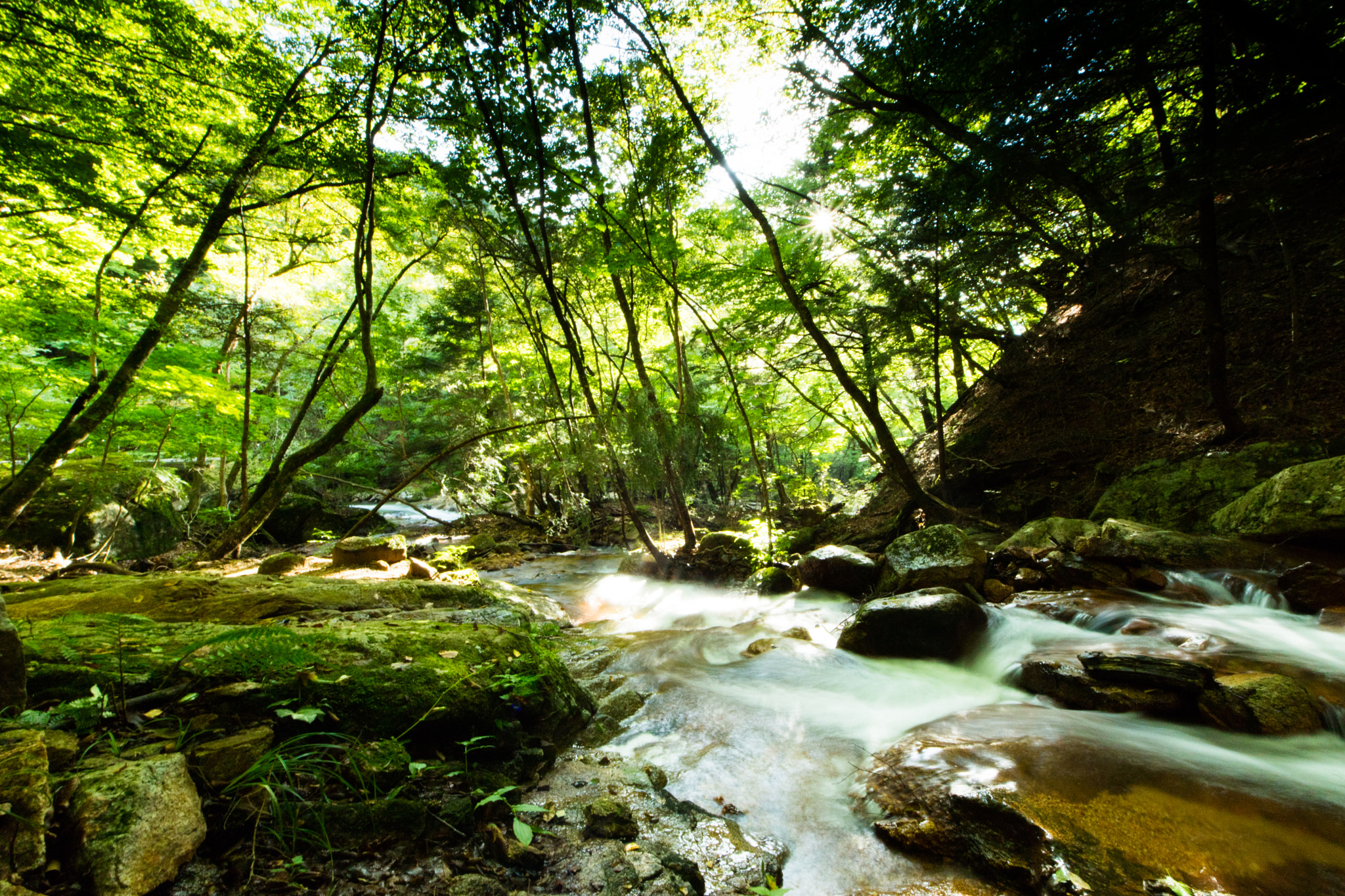Canon EOS M3 + Sigma 8-16mm F4.5-5.6 DC HSM sample photo. Masutomi valley photography
