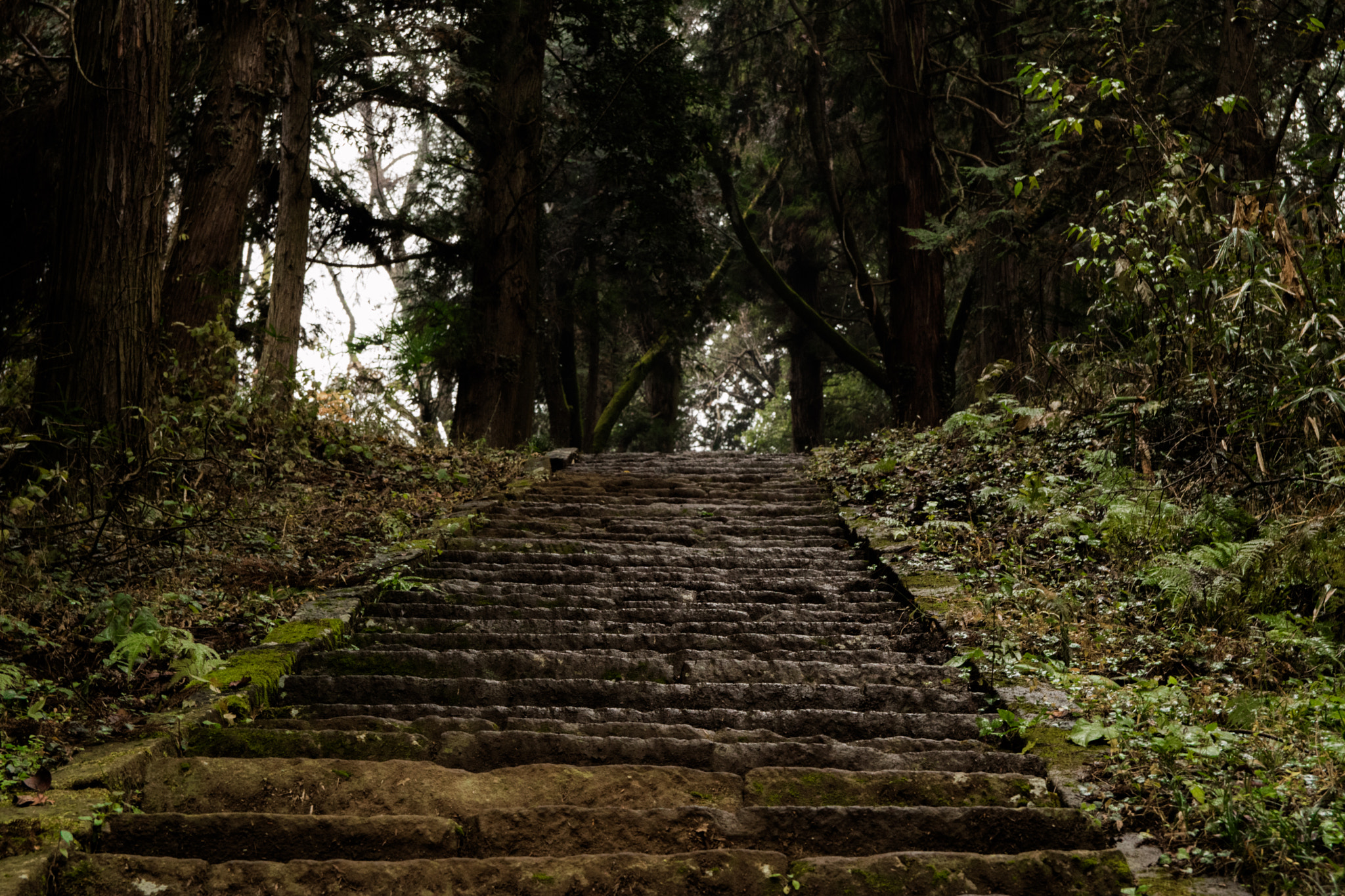 Canon EOS M3 sample photo. Rise photography