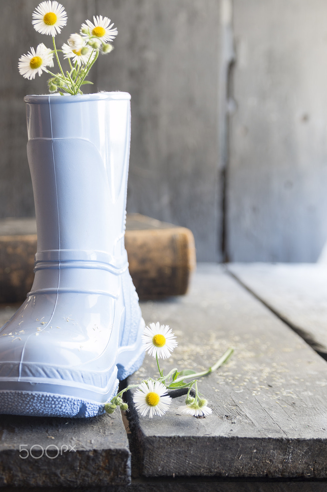 Canon EOS 70D + Sigma 18-200mm f/3.5-6.3 DC OS sample photo. Spring background, daisy and boots on a vintage table, photography