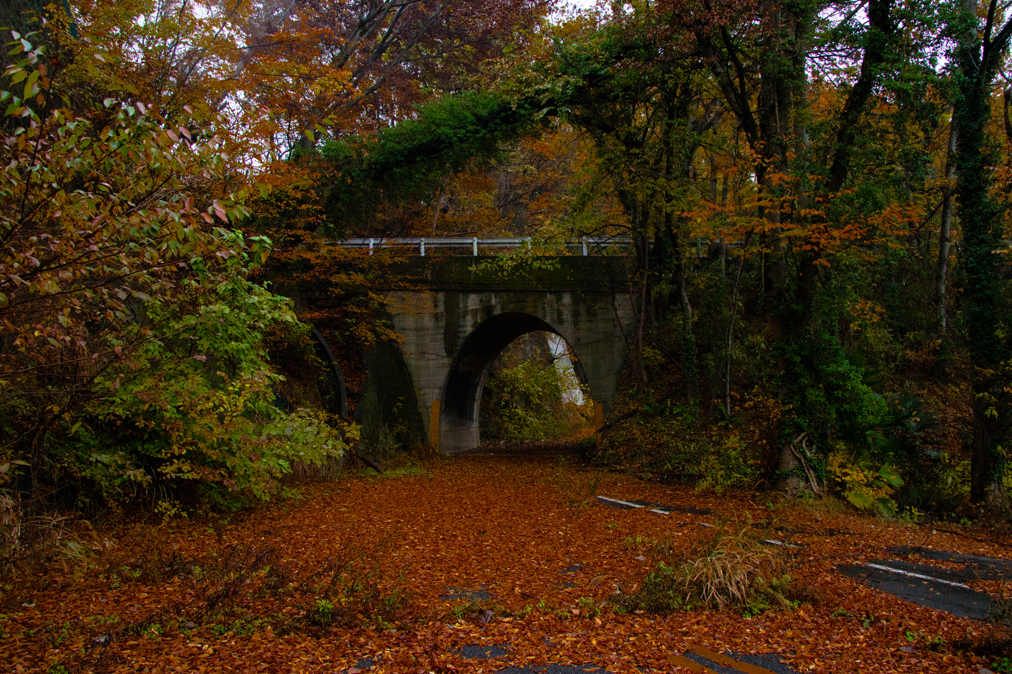 Canon EOS M3 sample photo. Waste photography