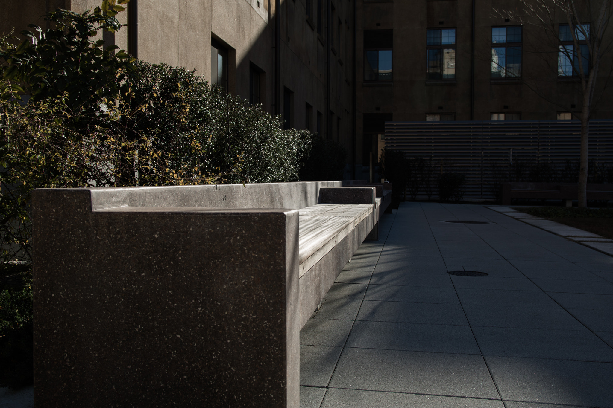 Canon EOS M3 sample photo. Bench photography