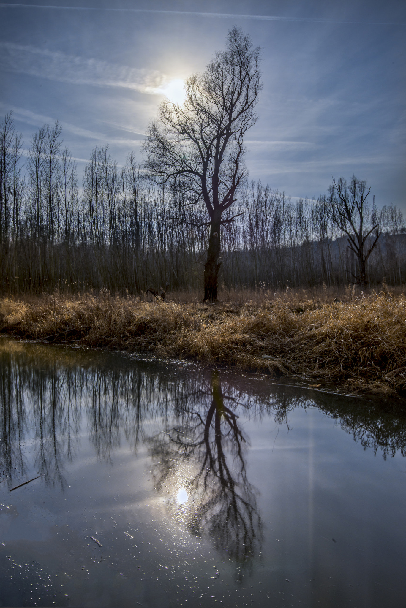 Nikon AF-S Nikkor 16-35mm F4G ED VR sample photo. Sgp photography