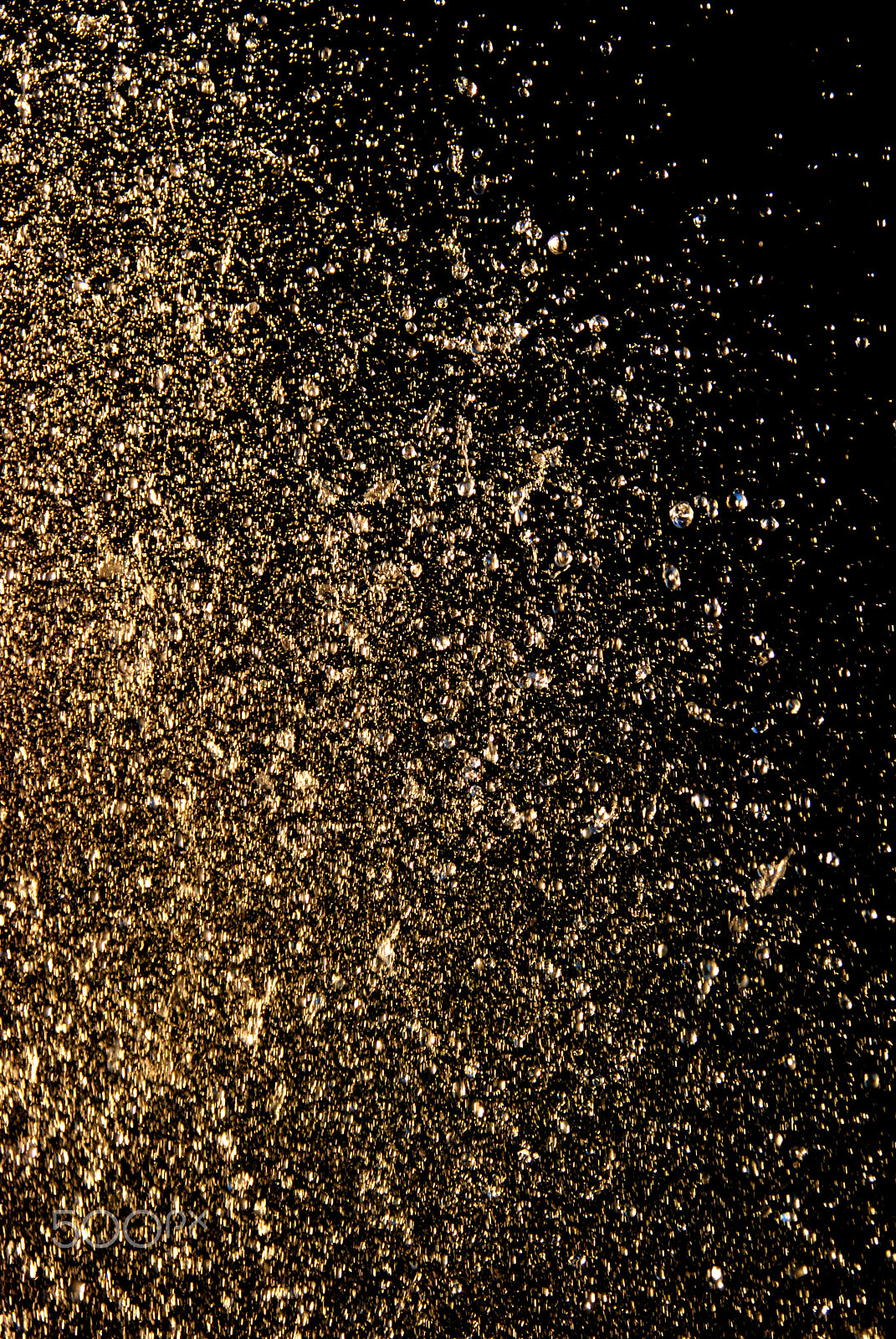 Nikon D80 sample photo. Gold sprinkle ii photography