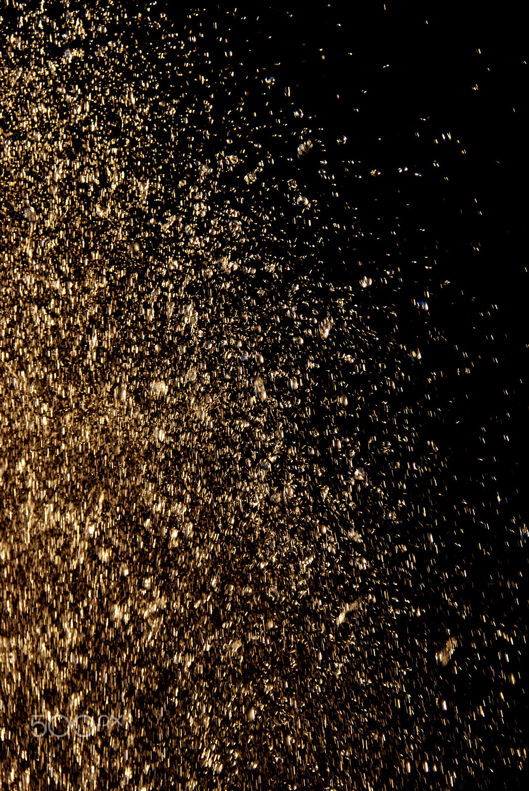 Nikon D80 sample photo. Gold sprinkle i photography