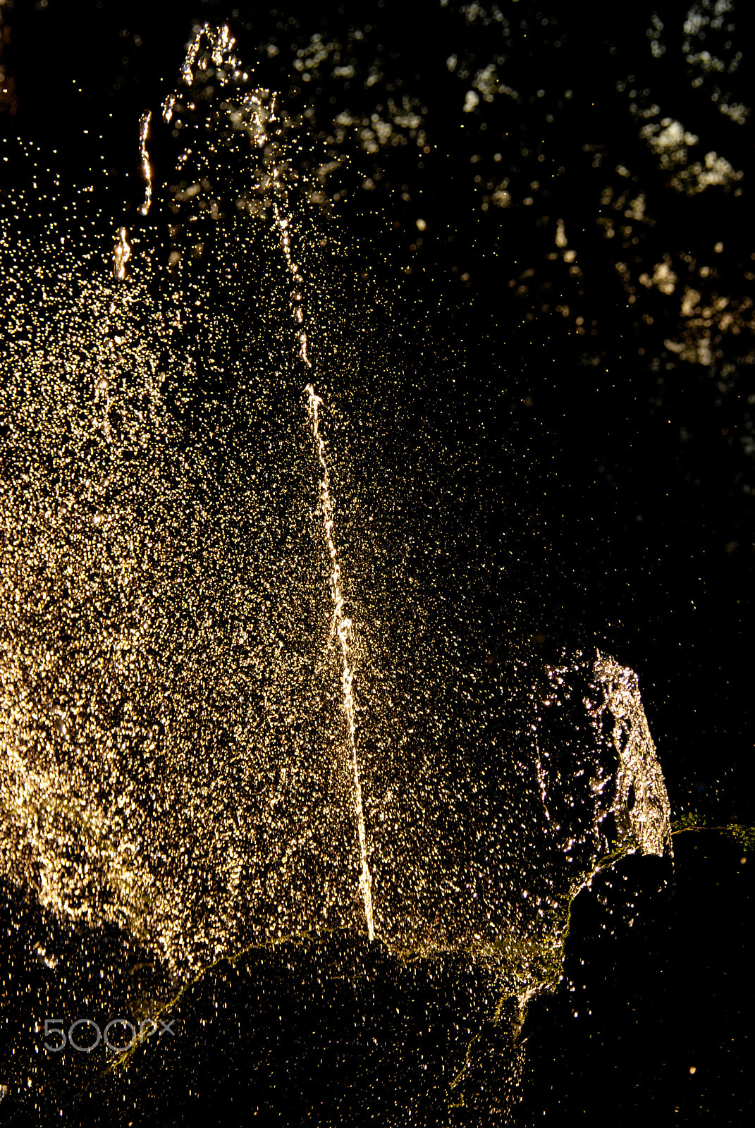 Nikon D80 sample photo. Fountain of gold ii photography