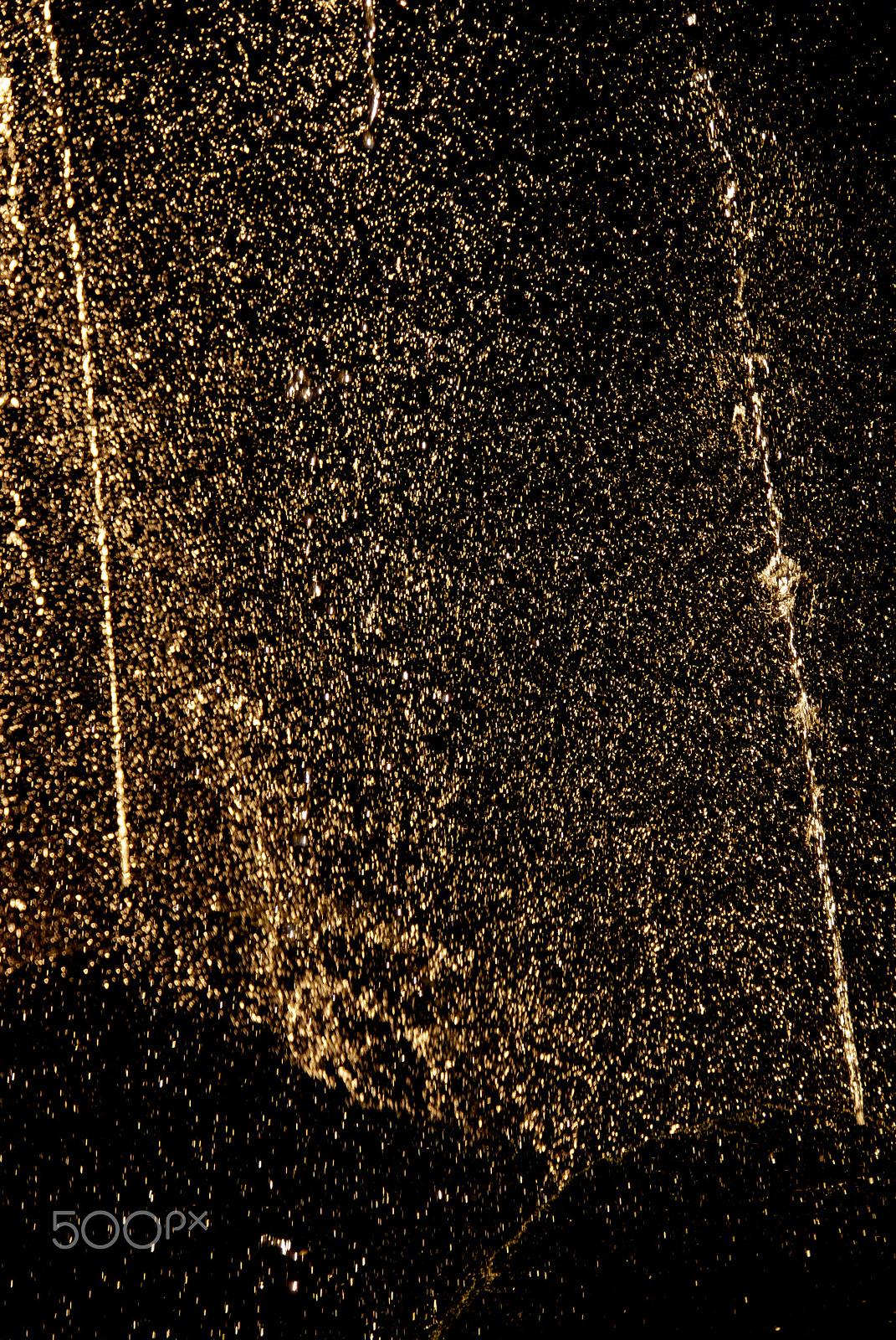 Nikon D80 sample photo. Gold sprinkle iii photography