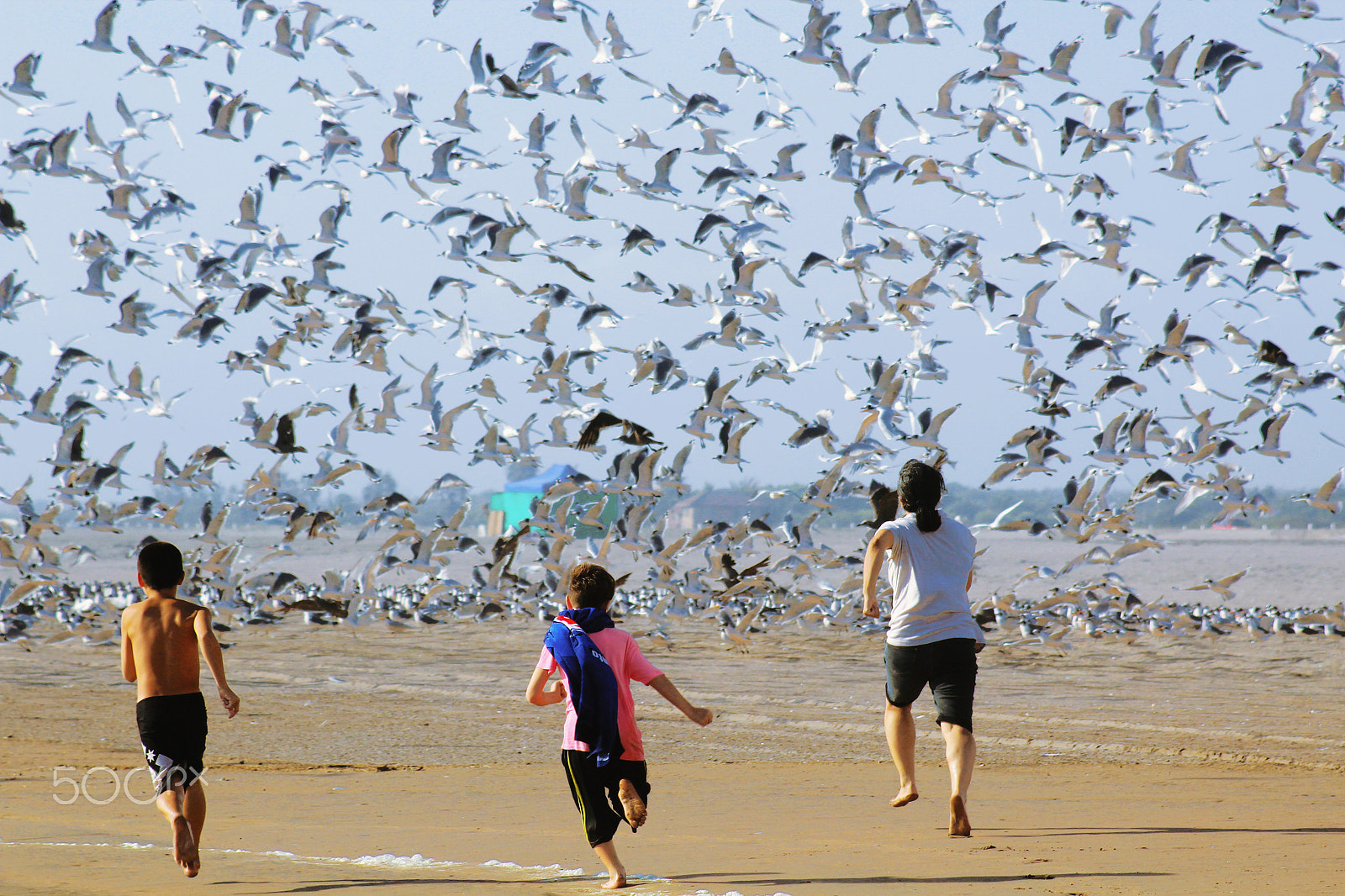 Canon EF 80-200mm F4.5-5.6 II sample photo. Chasing birds photography