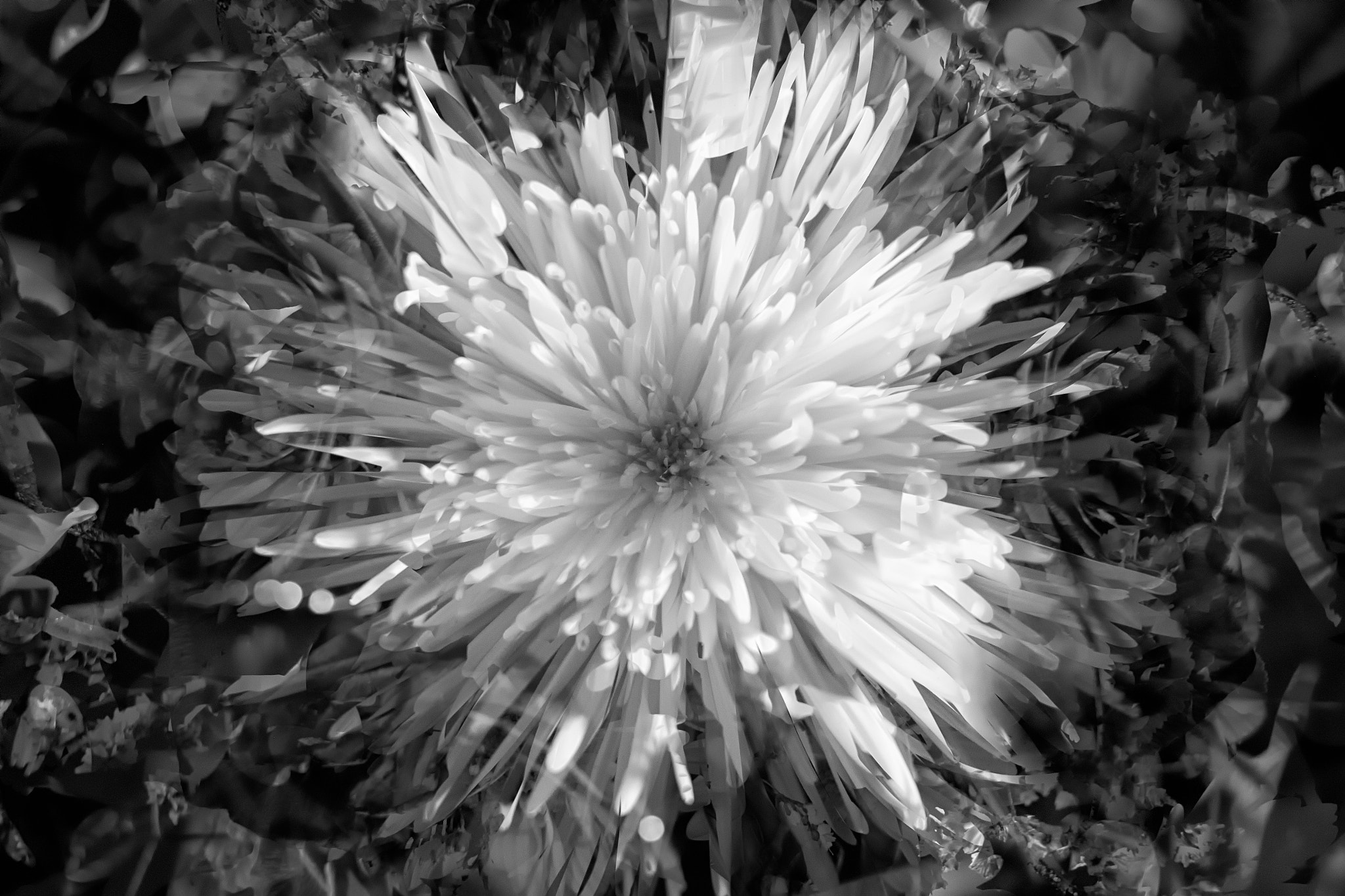 Fujifilm XF 35mm F1.4 R sample photo. Implosion photography