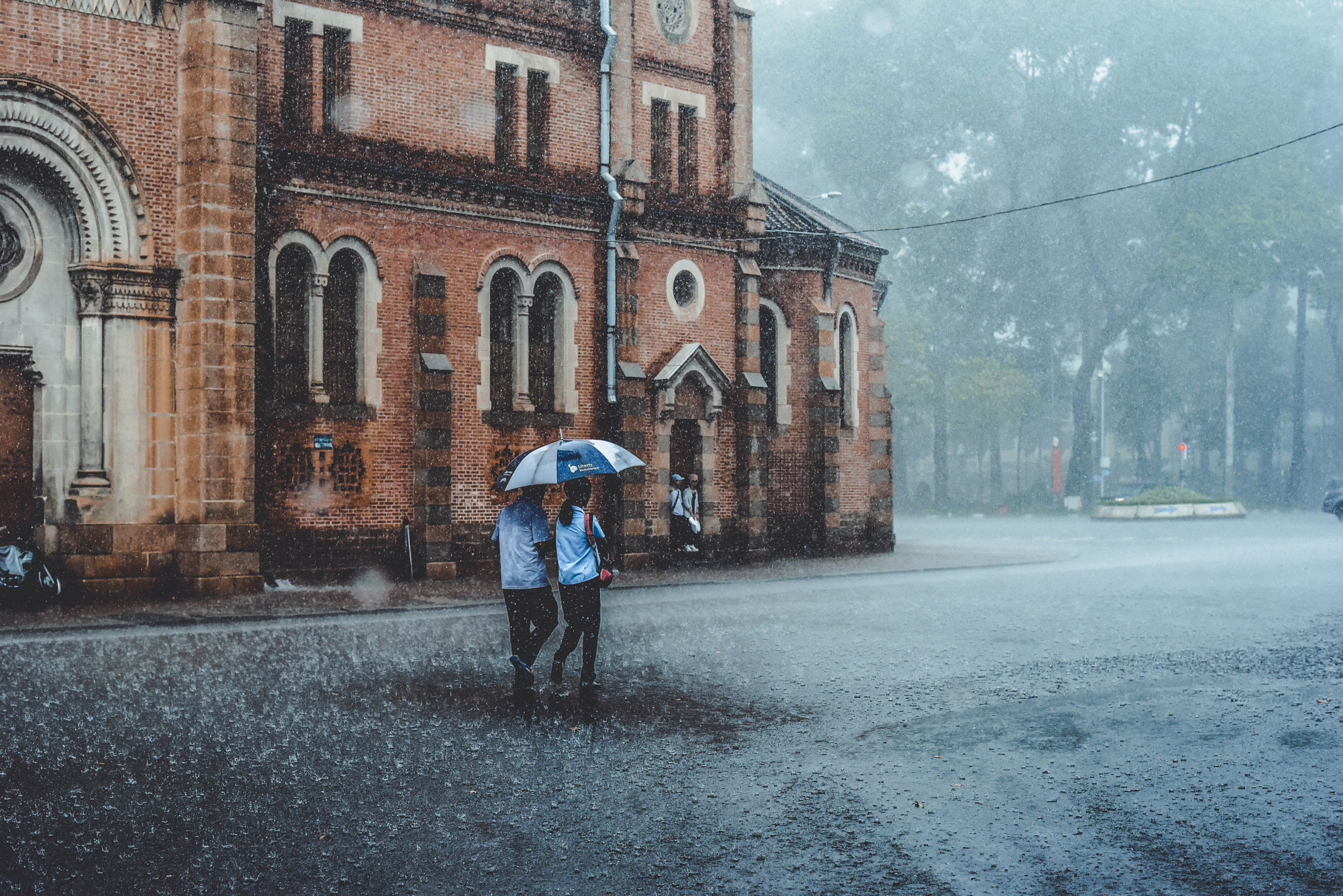 Nikon D750 + Nikon AF-S Nikkor 58mm F1.4G sample photo. Walking in rain photography