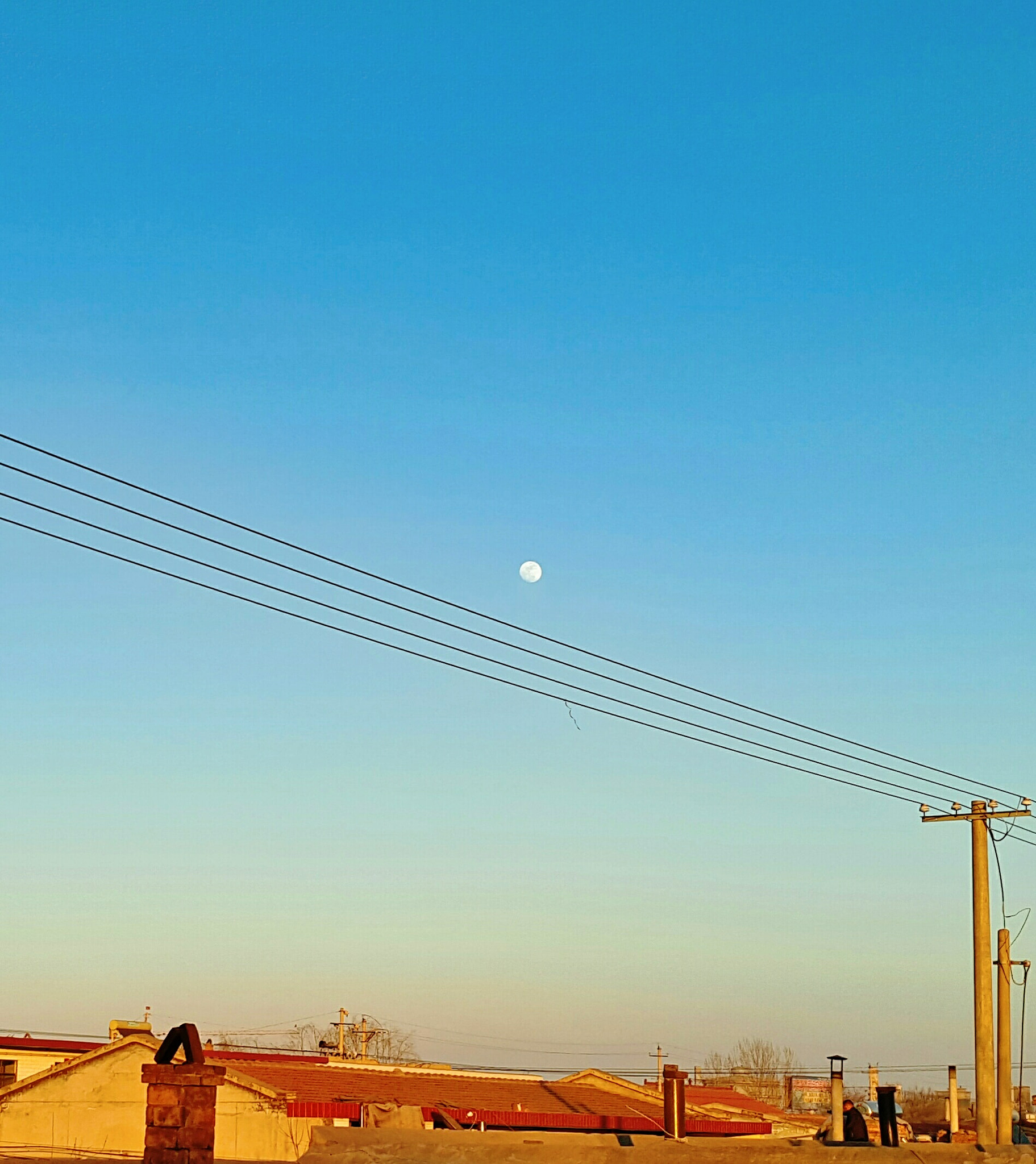 Meizu PRO 5 sample photo