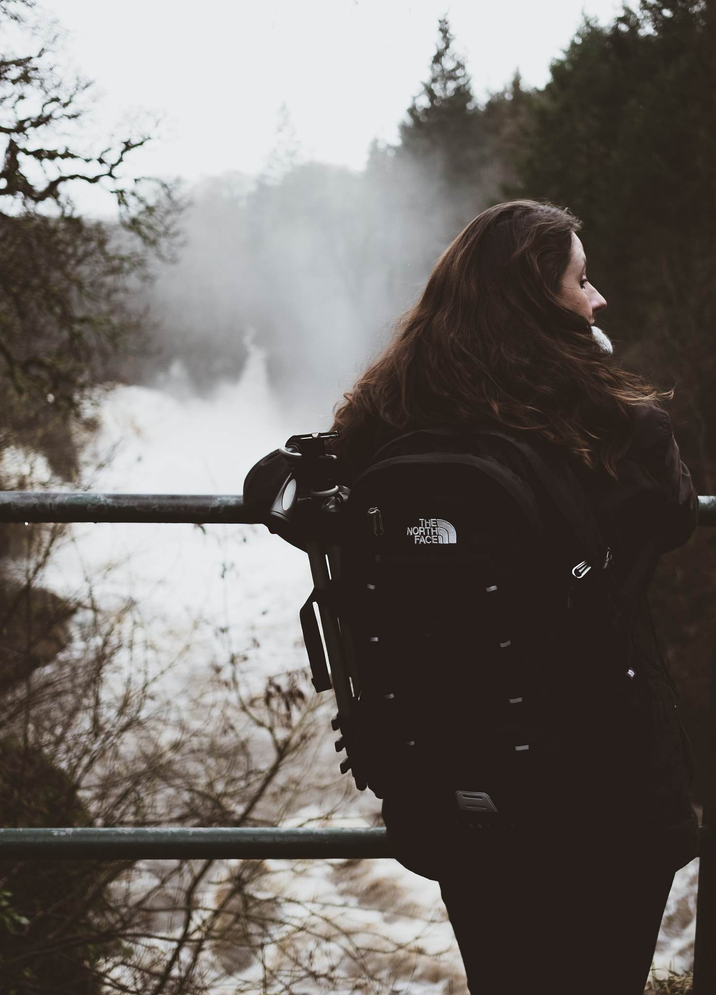 Fujifilm X-T2 + Fujifilm XF 23mm F2 R WR sample photo. Falls of clyde. photography