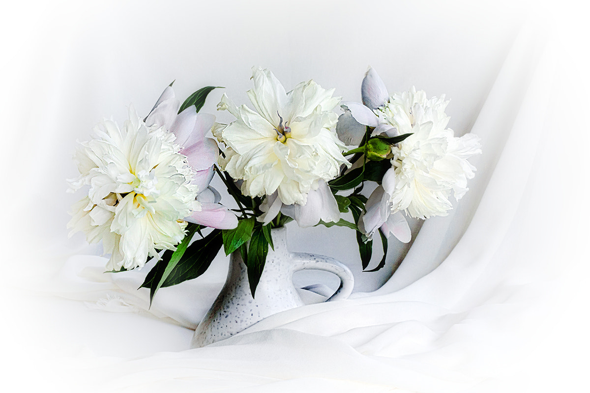 Canon EF 100mm F2.8 Macro USM sample photo. White photography