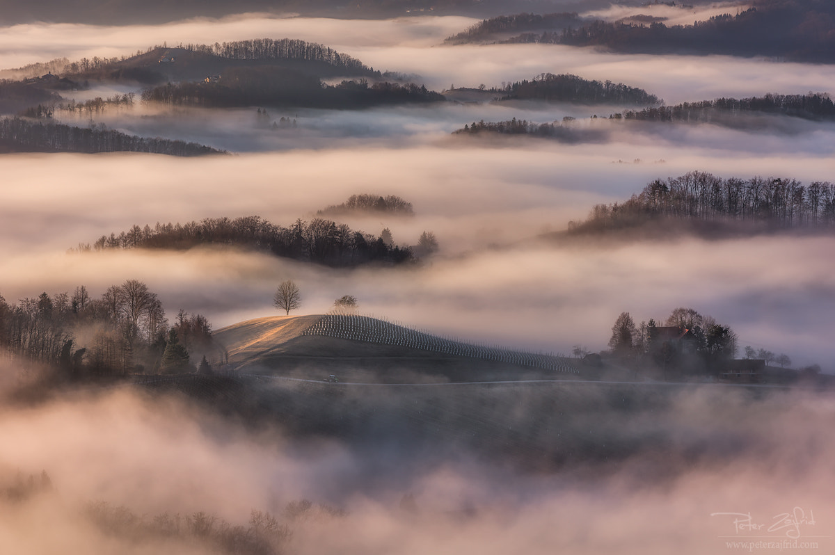 Nikon D810 sample photo. Foggy valleys photography