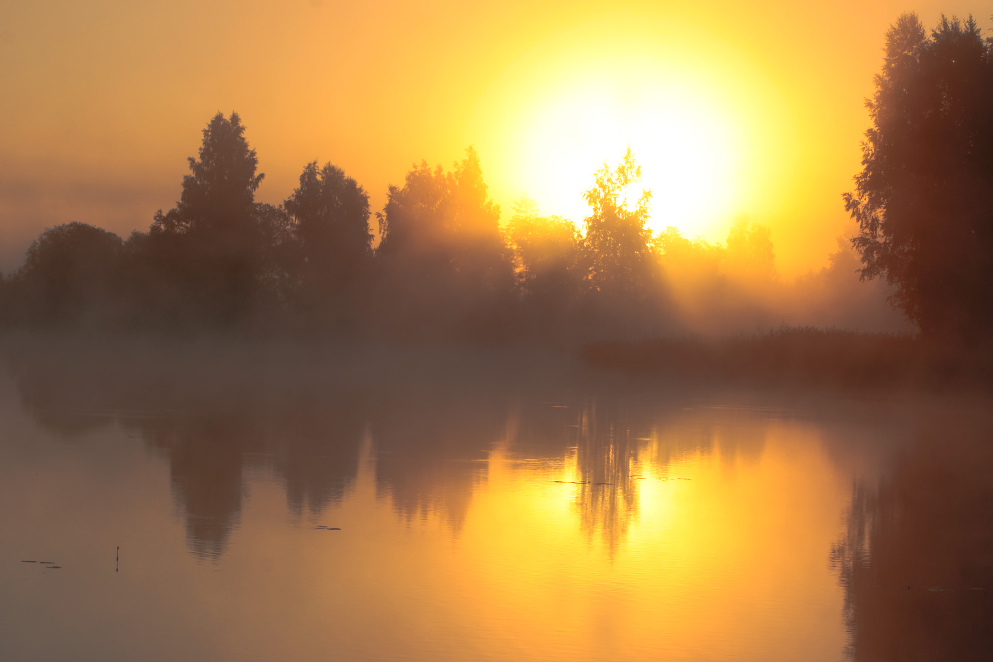 Canon EF 55-200mm F4.5-5.6 II USM sample photo. Sunrise photography