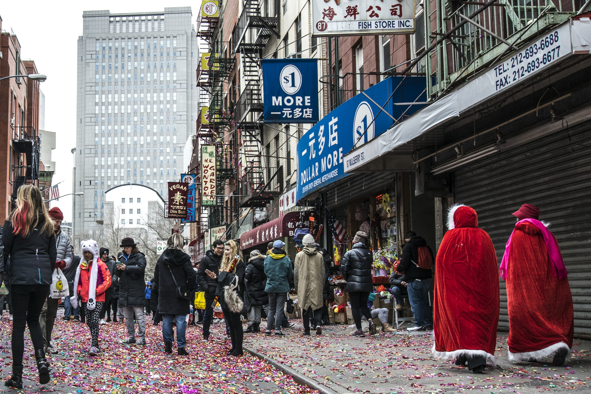 Nikon D5300 sample photo. China town, new york photography