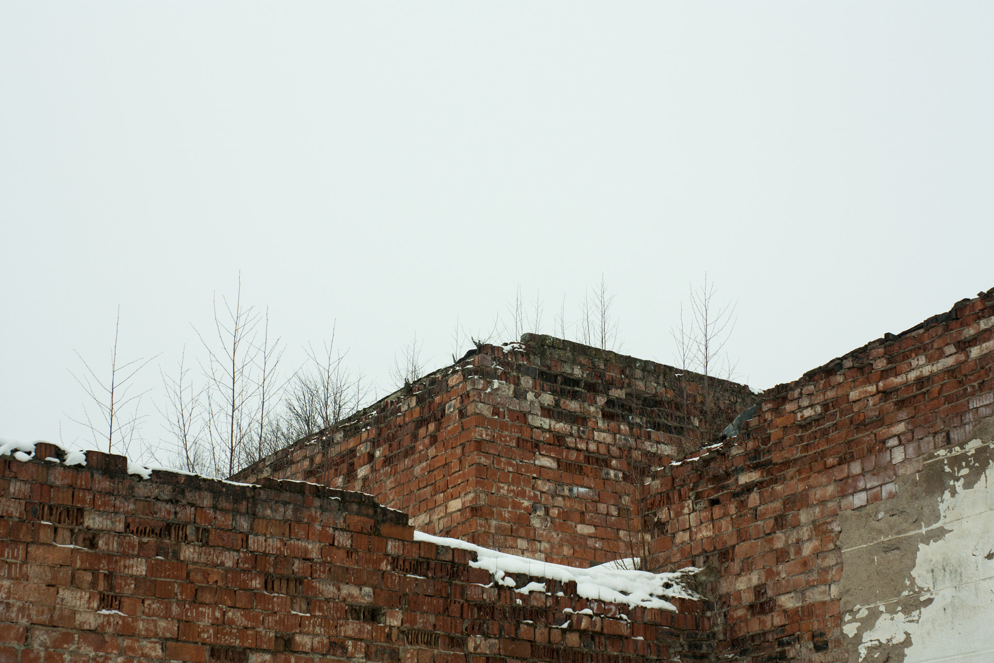 Canon EF 35-80mm f/4-5.6 sample photo. Brick old walls photography