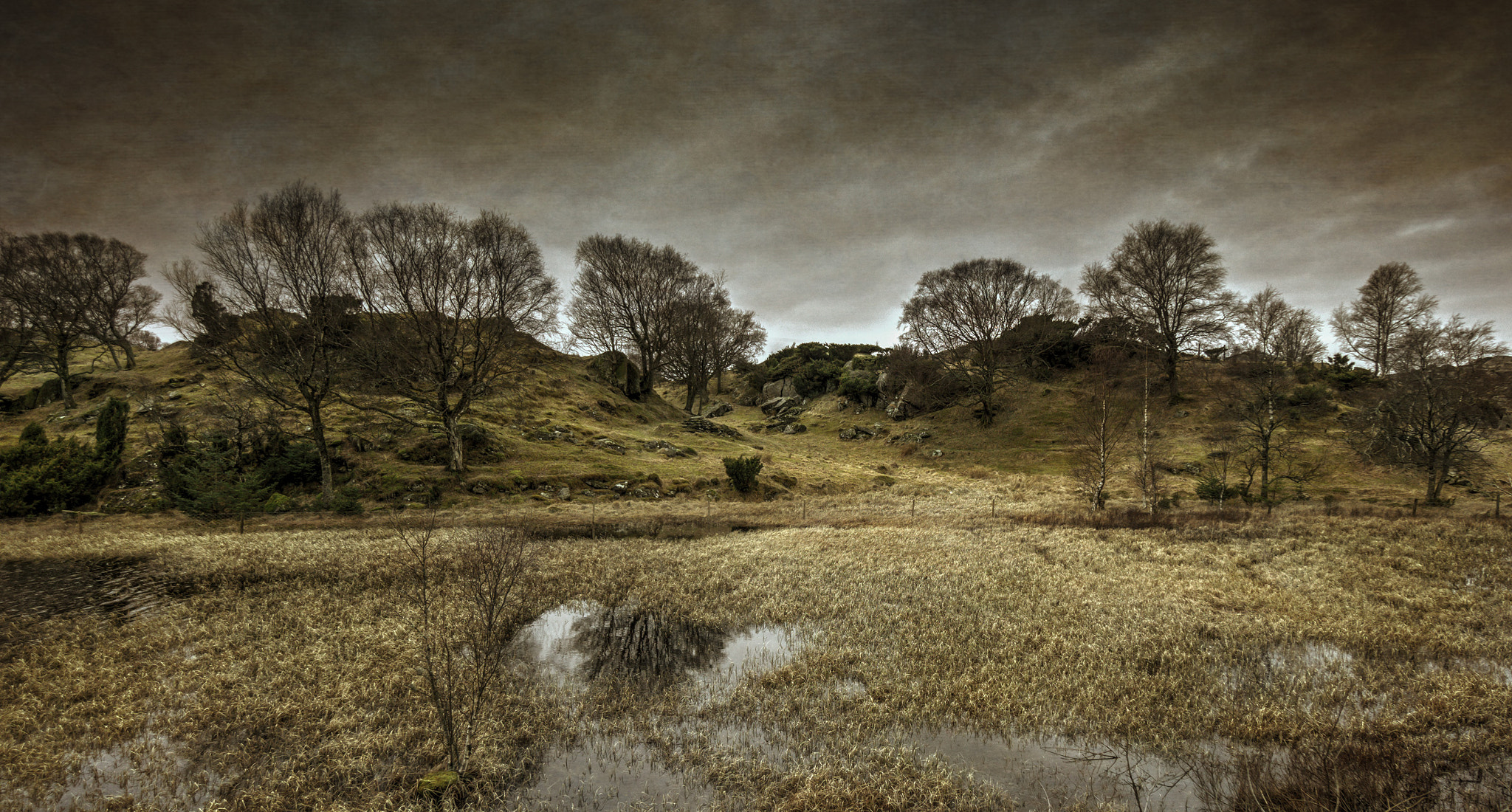 Sony a6000 + Sony E 10-18mm F4 OSS sample photo. By the pond photography
