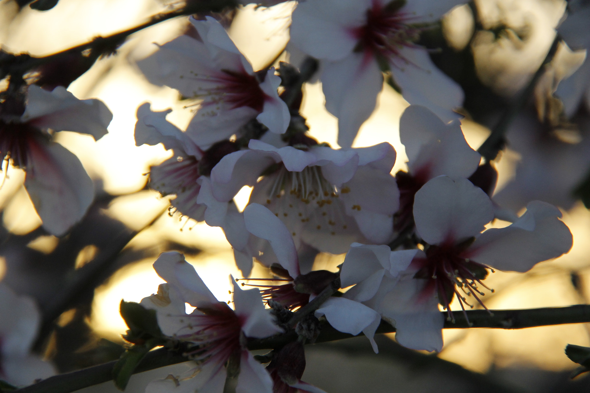 Canon EF-S 18-200mm F3.5-5.6 IS sample photo. Mg photography