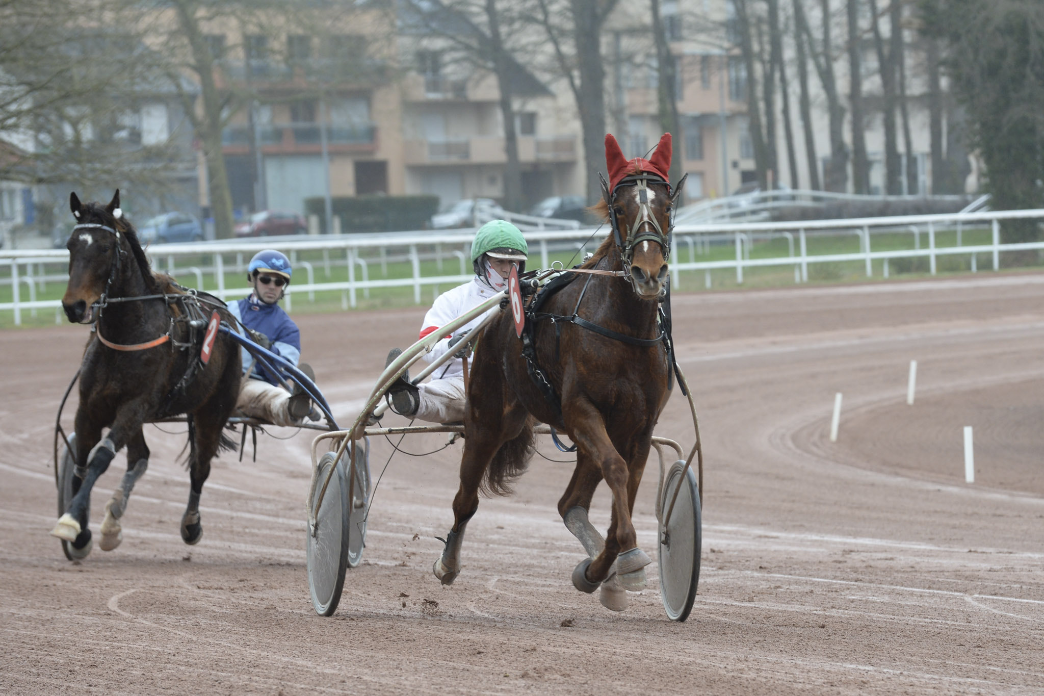 Nikon D4 + Zoom-Nikkor 1200-1700mm f/5.6-8 P ED IF sample photo. Nantes 17/02/26 photography