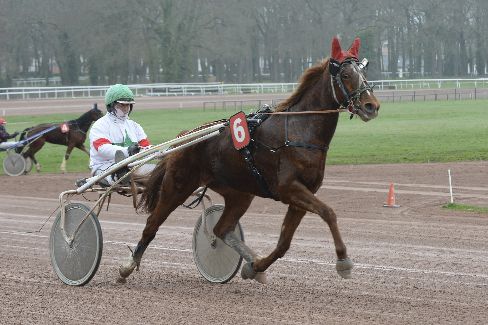 Nikon D4 sample photo. Nantes 17/02/26 photography