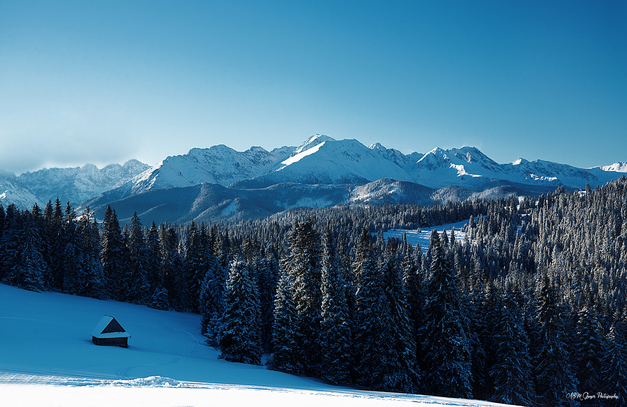 Nikon D600 sample photo. Postcard from poland :) photography