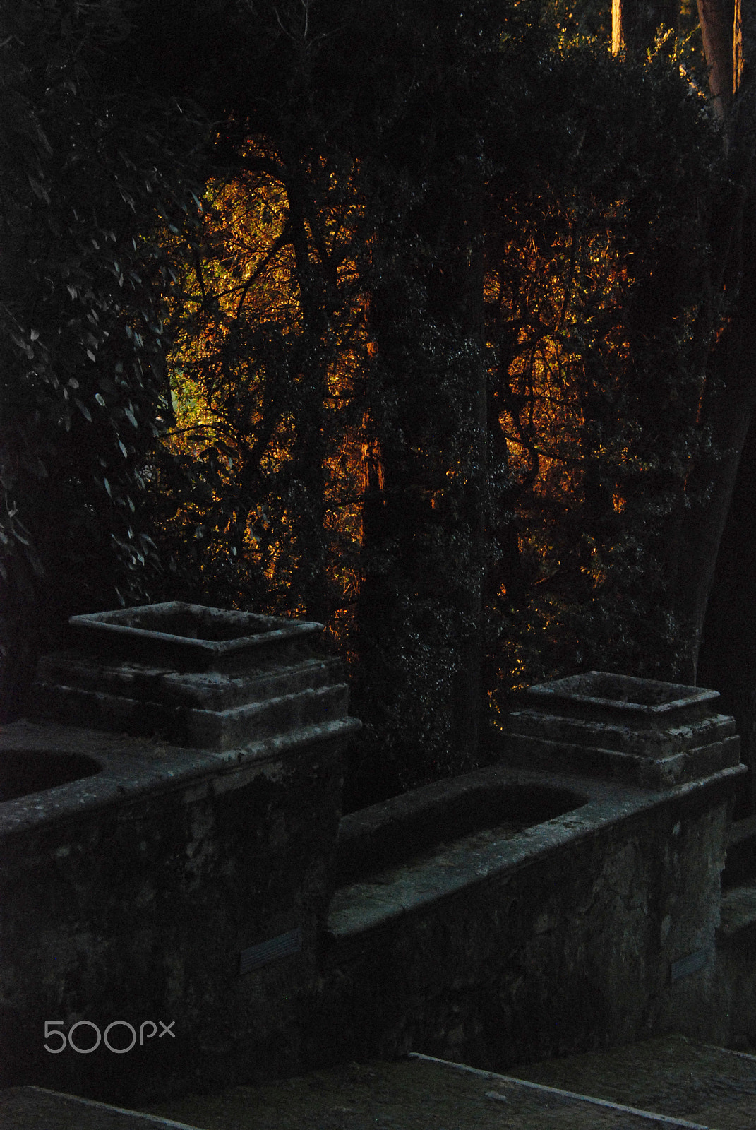 Nikon D80 sample photo. Fall alight photography