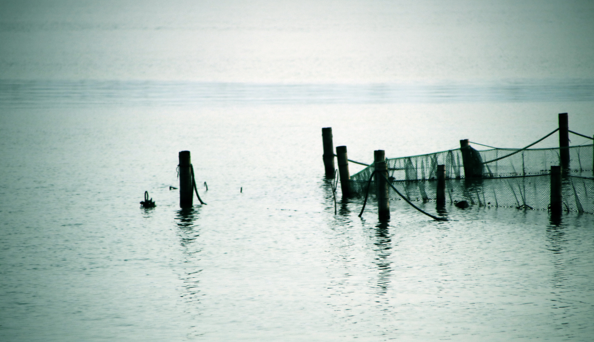 Canon EOS 750D (EOS Rebel T6i / EOS Kiss X8i) + Canon TS-E 90mm F2.8 Tilt-Shift sample photo. The west lake photography