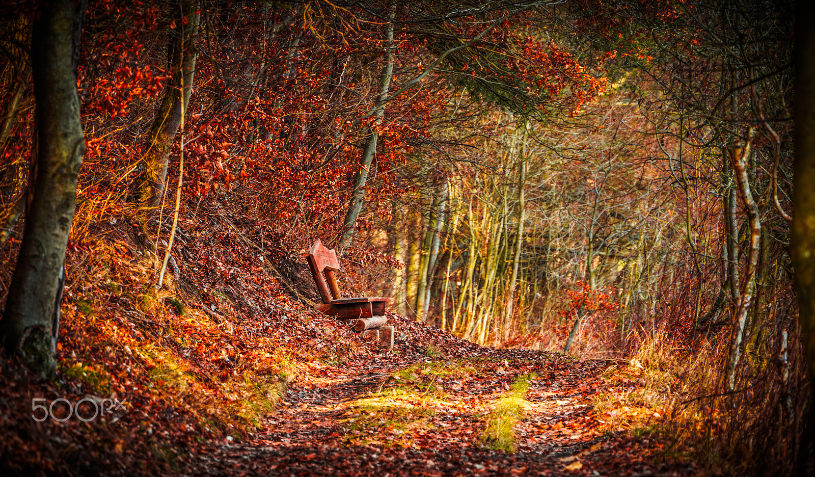 Olympus OM-D E-M5 II sample photo. Season confusion photography
