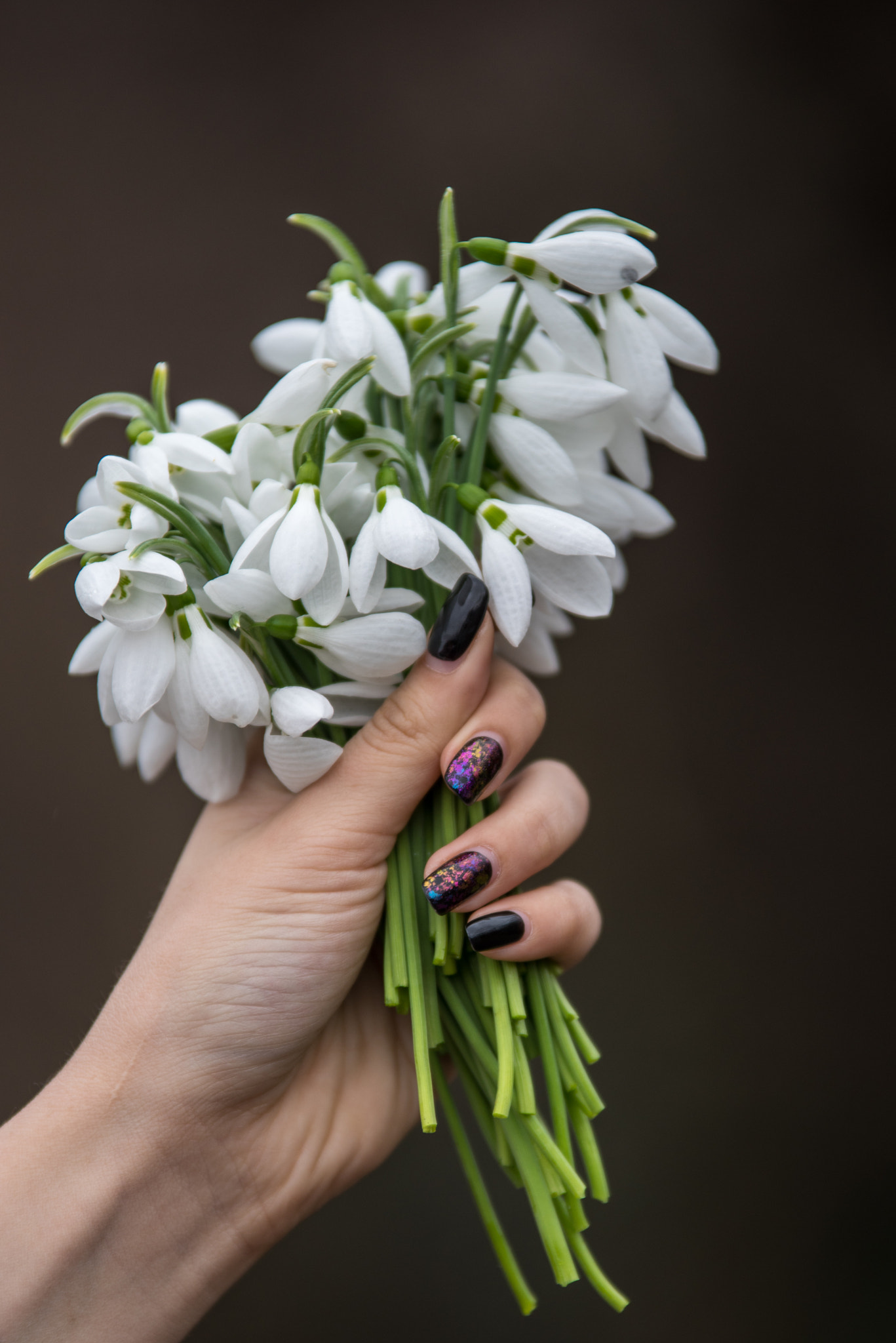 Pentax K-1 + Sigma 70-200mm F2.8 EX DG OS HSM sample photo. Snowdrops in girl's hand photography