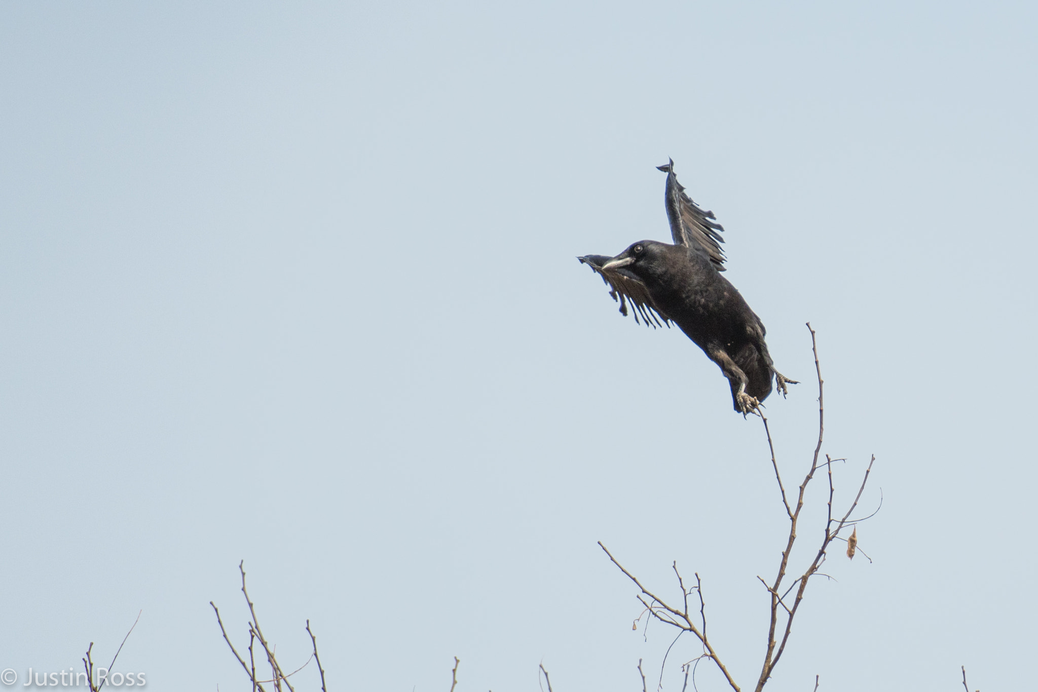 Nikon AF-S Nikkor 70-200mm F2.8G ED VR II sample photo. To infinity and beyond photography