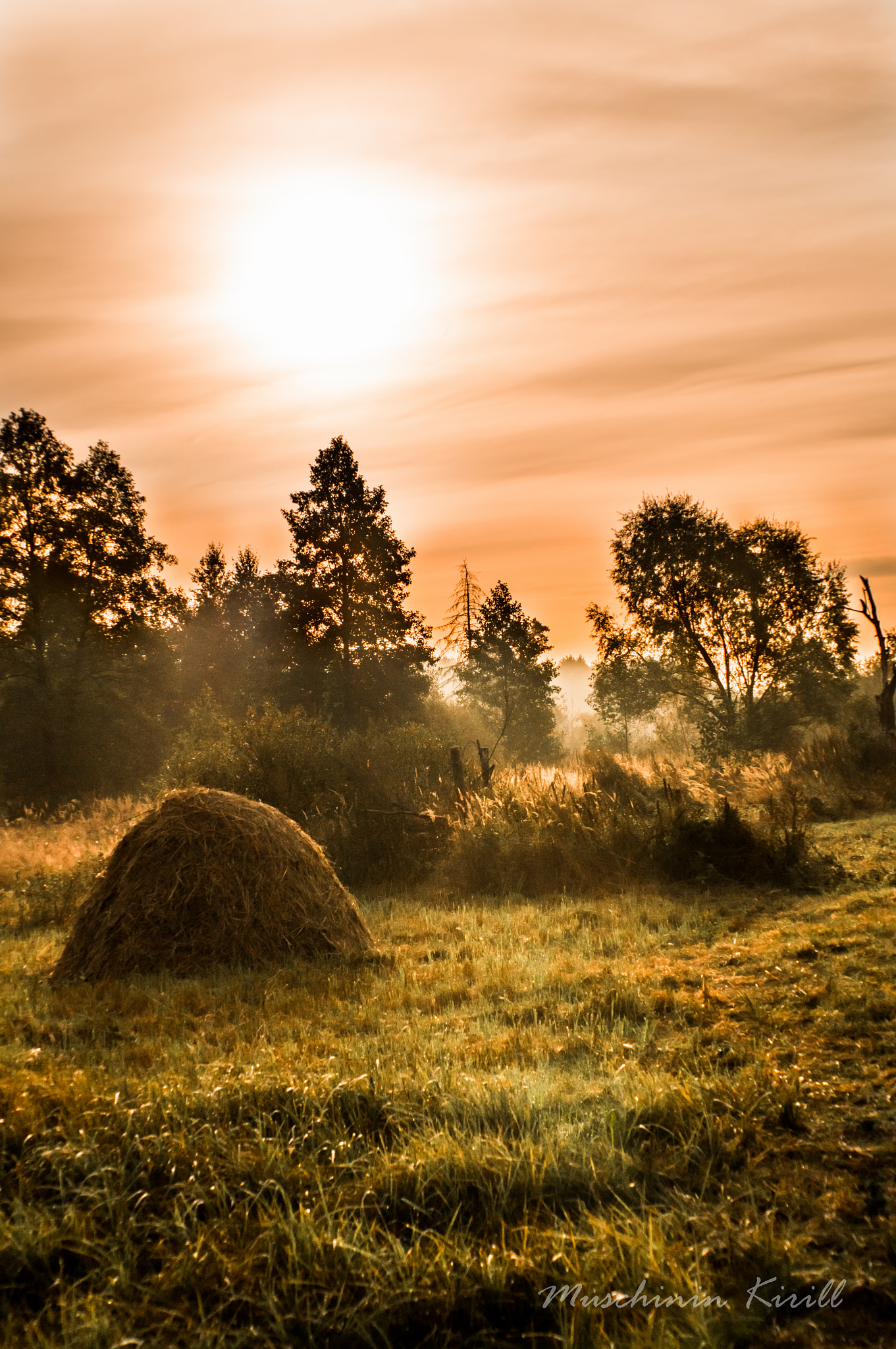 Sony DT 55-200mm F4-5.6 SAM sample photo. Morning coolness photography