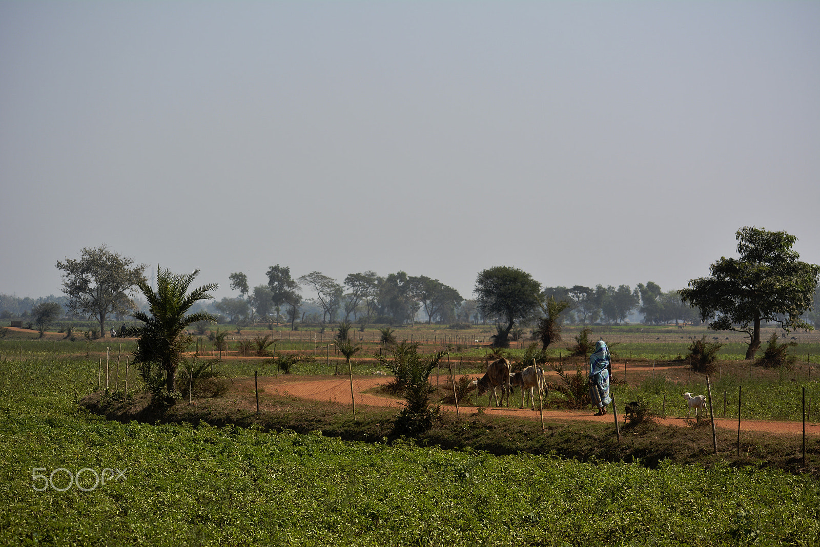 Nikon D5200 + Sigma 70-300mm F4-5.6 DG OS sample photo. A beautiful village road photography