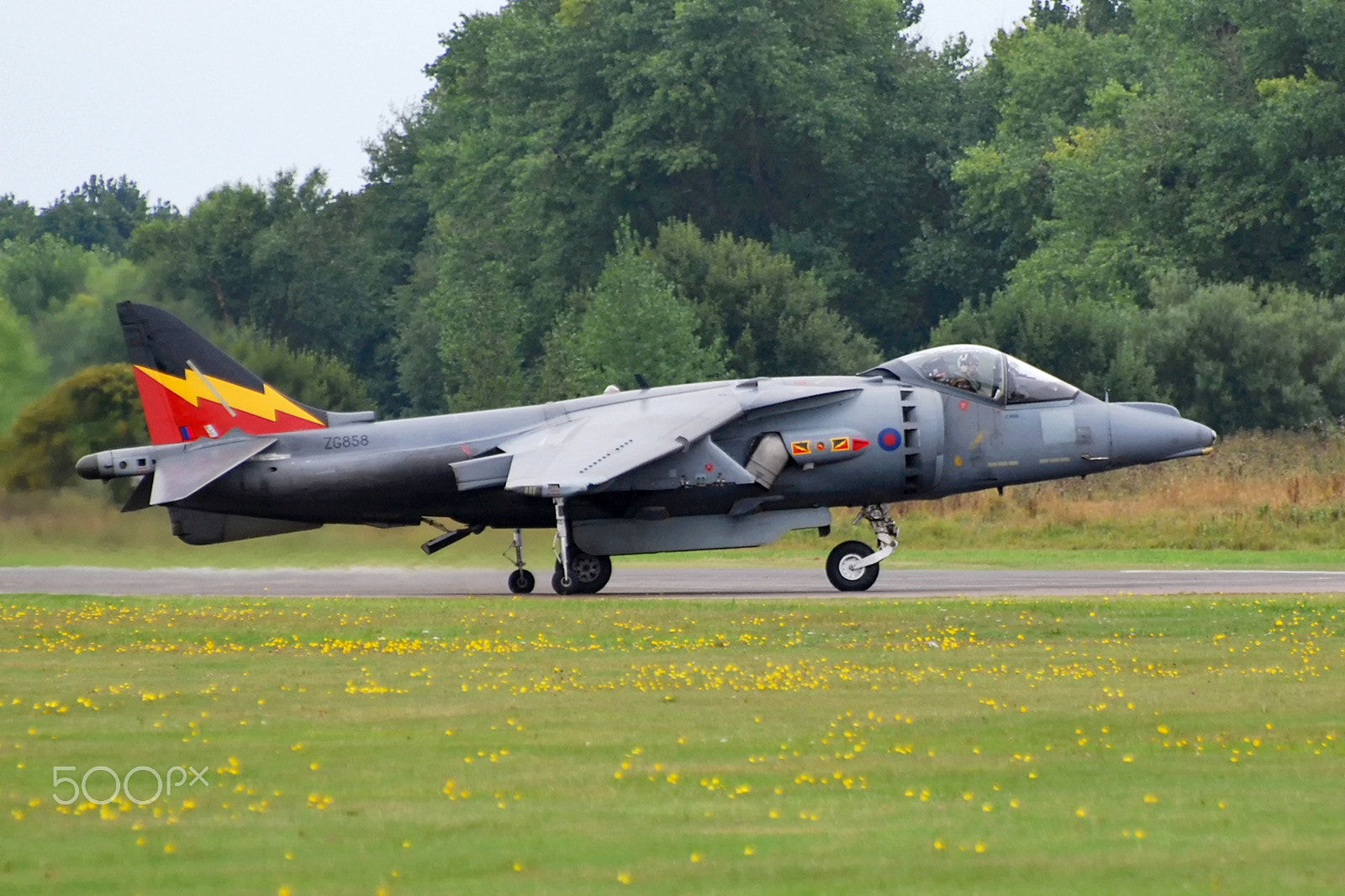 Nikon D60 sample photo. Harrier gr9, shoreham 2010 photography