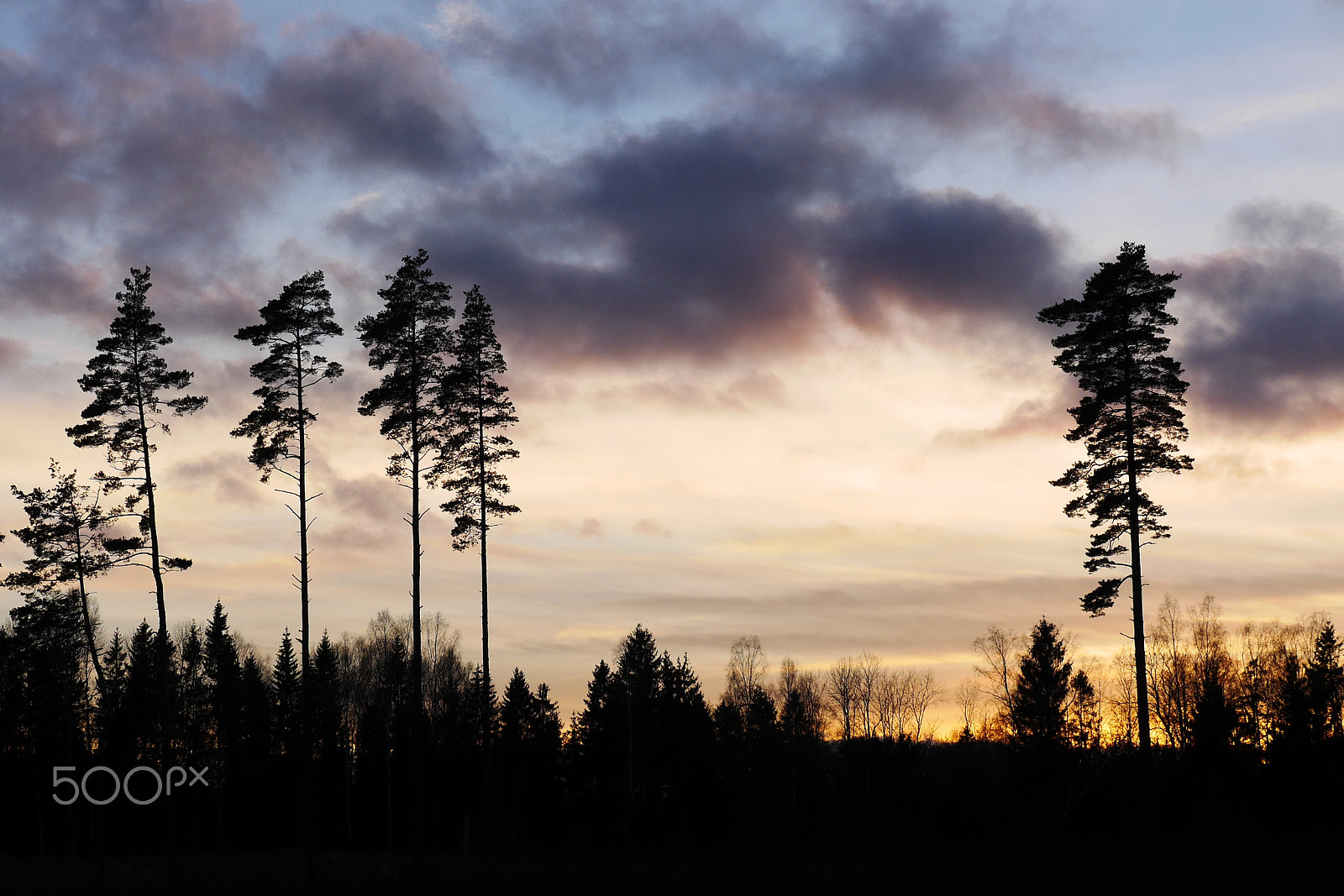 Panasonic Lumix DMC-GH3 sample photo. Sunset in kurzeme photography