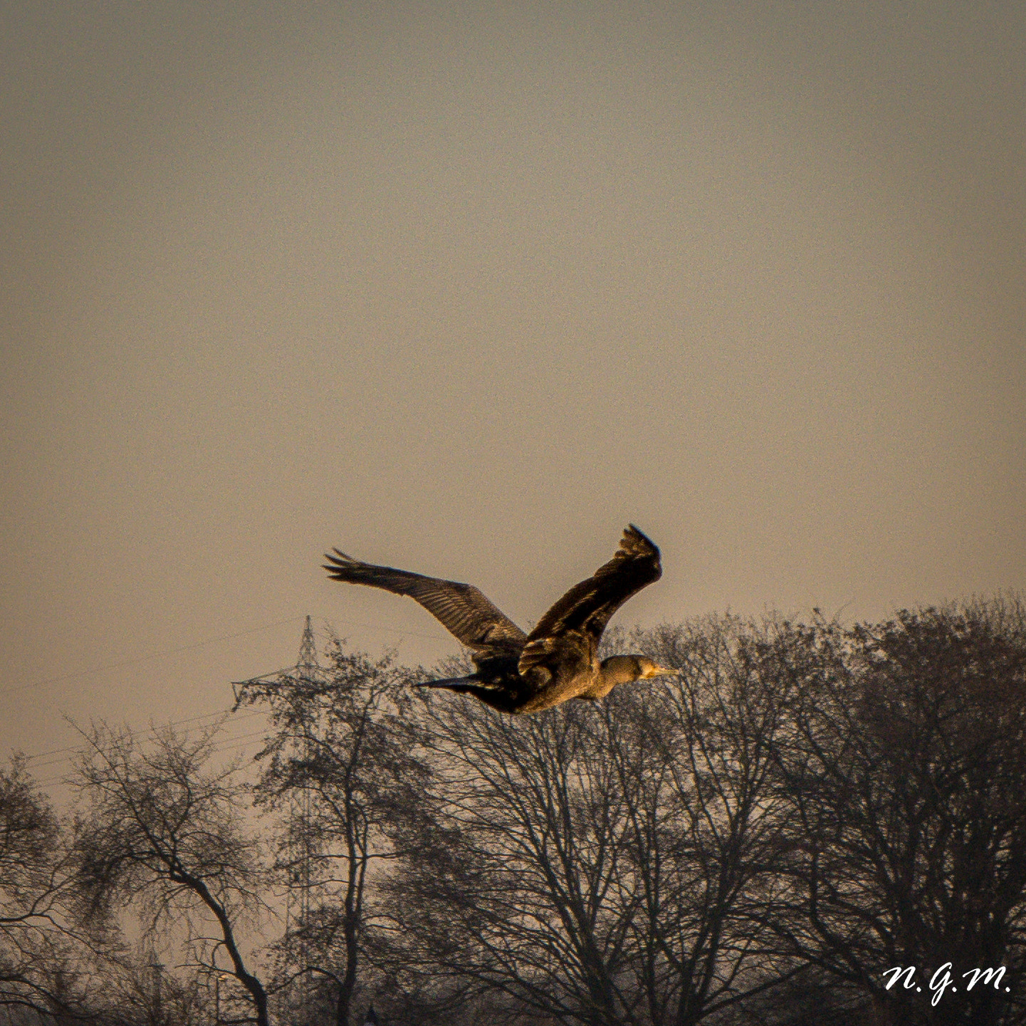 Nikon AF-S DX Micro-Nikkor 85mm F3.5G ED VR sample photo. "weit fort würde ich fliegen,,," ps 55:8 photography