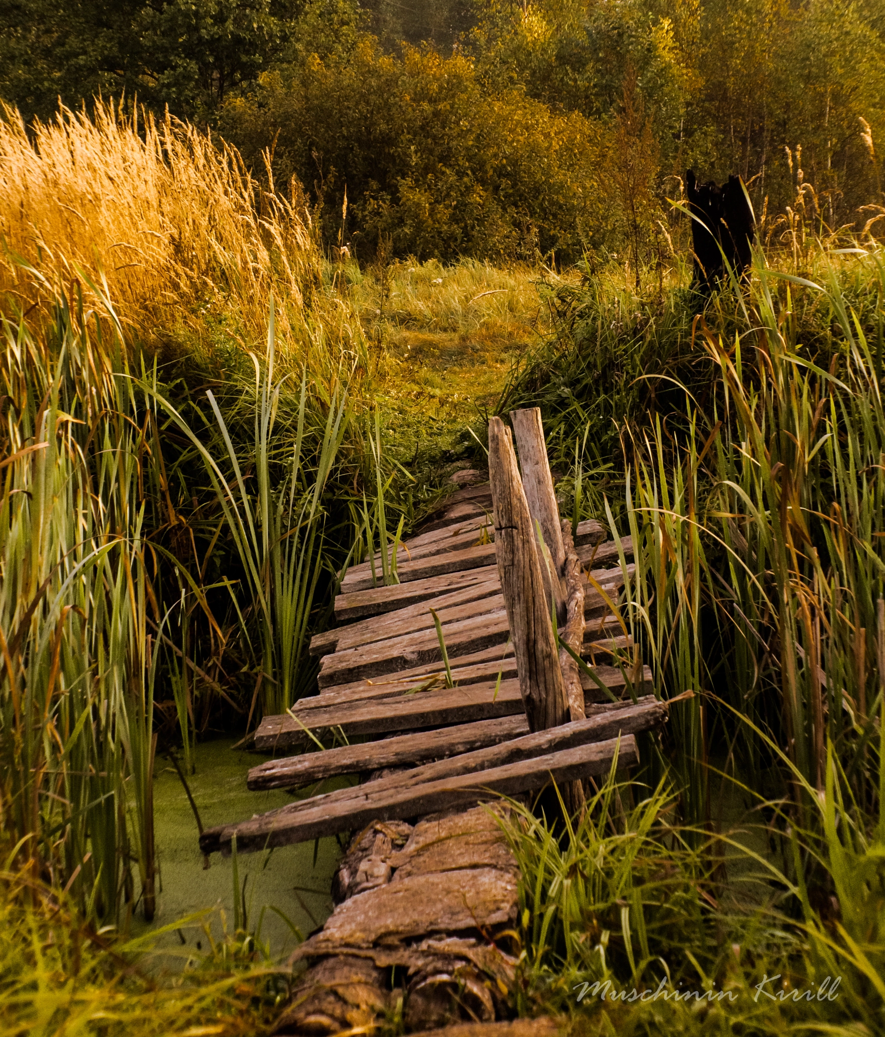 Sony DT 55-200mm F4-5.6 SAM sample photo. The old bridge photography