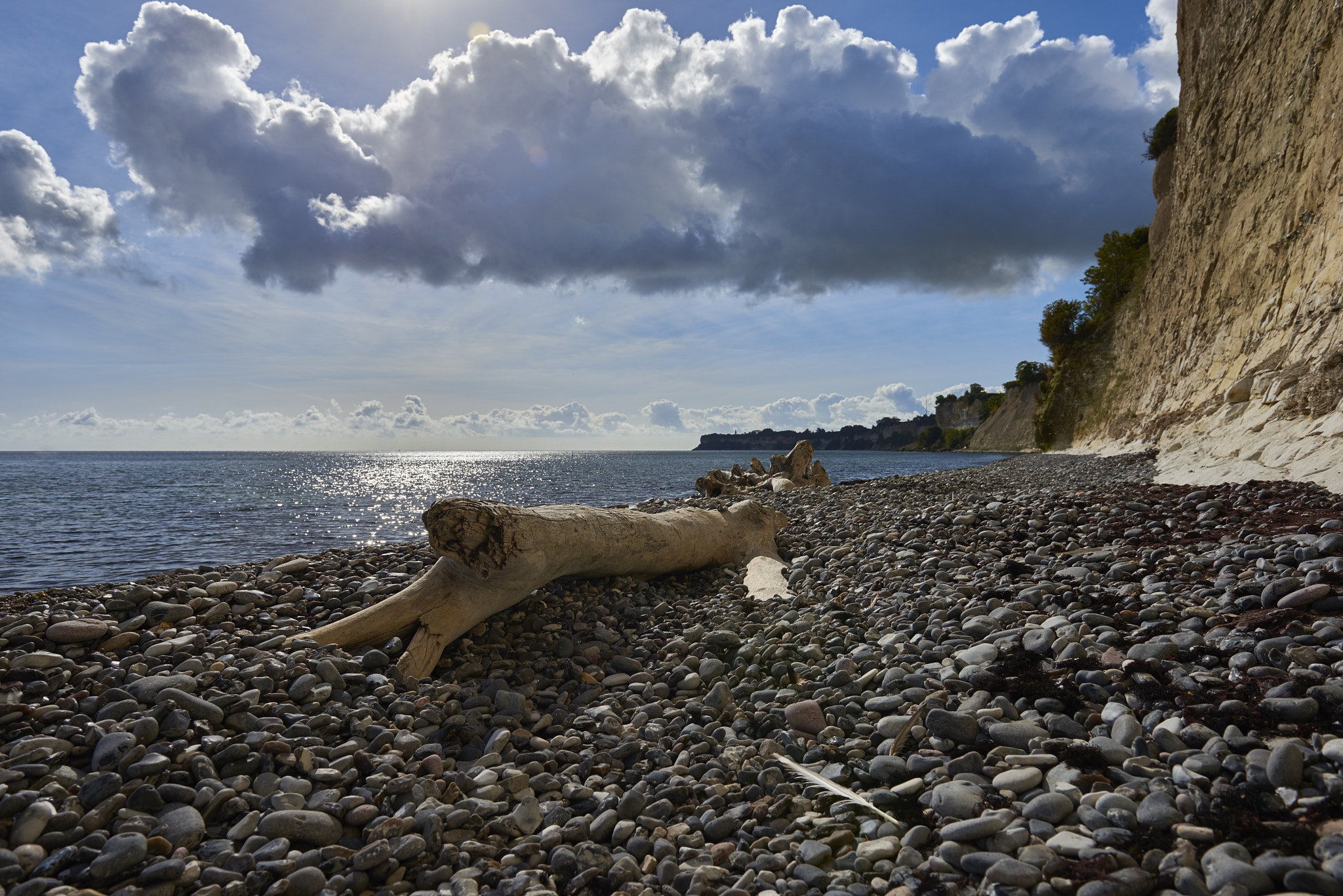 Nikon AF-S Nikkor 24-70mm F2.8G ED sample photo. Strandgut photography