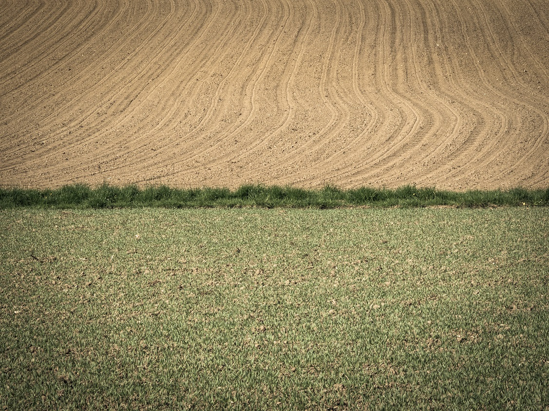 Olympus OM-D E-M1 + Panasonic Lumix G X Vario 35-100mm F2.8 OIS sample photo. Fields minimalist landscape photography photography