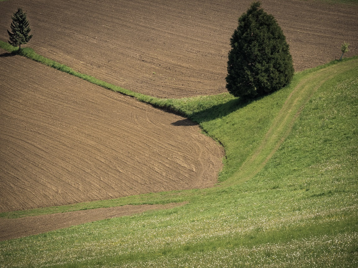 Olympus OM-D E-M1 + Panasonic Lumix G X Vario 35-100mm F2.8 OIS sample photo. Fields minimalist landscape photography photography