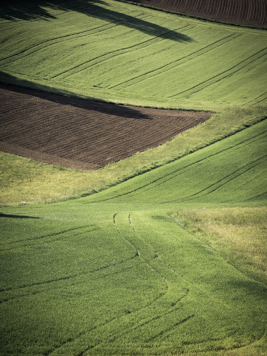 Olympus OM-D E-M1 + Panasonic Lumix G X Vario 35-100mm F2.8 OIS sample photo. Fields minimalist landscape photography photography