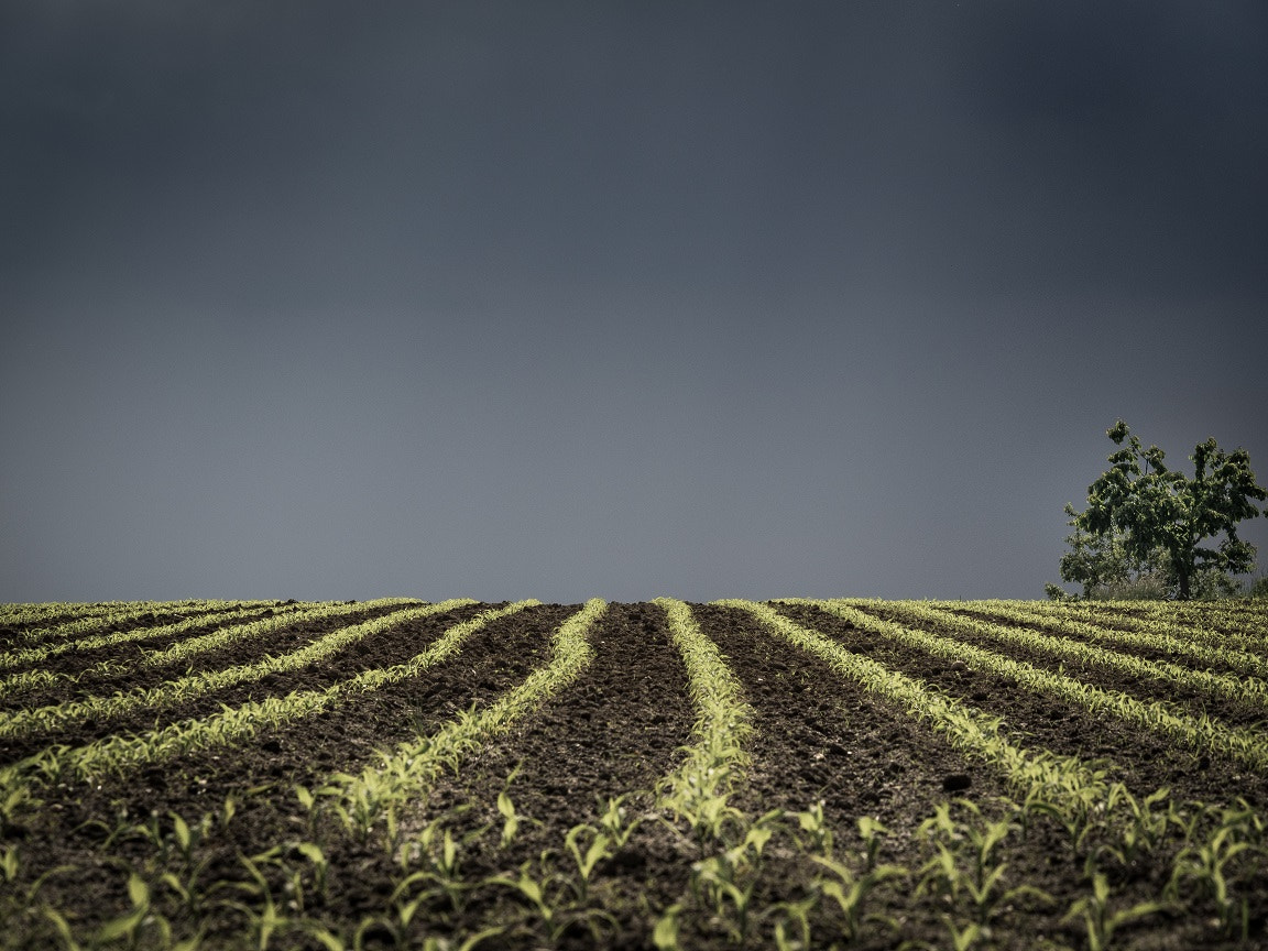 Panasonic Lumix G X Vario 35-100mm F2.8 OIS sample photo. Fields minimalist landscape photography photography