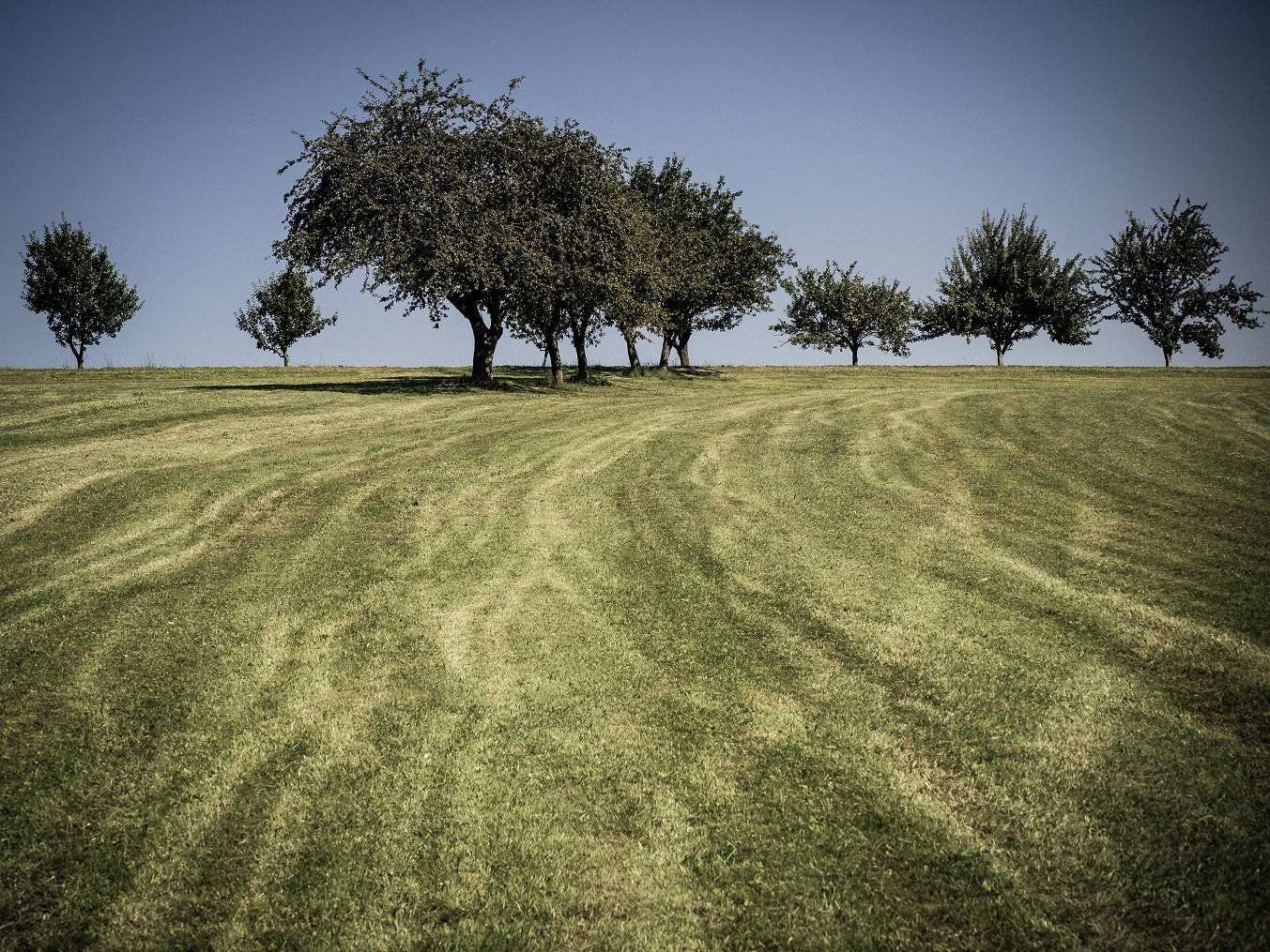 Olympus OM-D E-M1 sample photo. Fields minimalist landscape photography photography