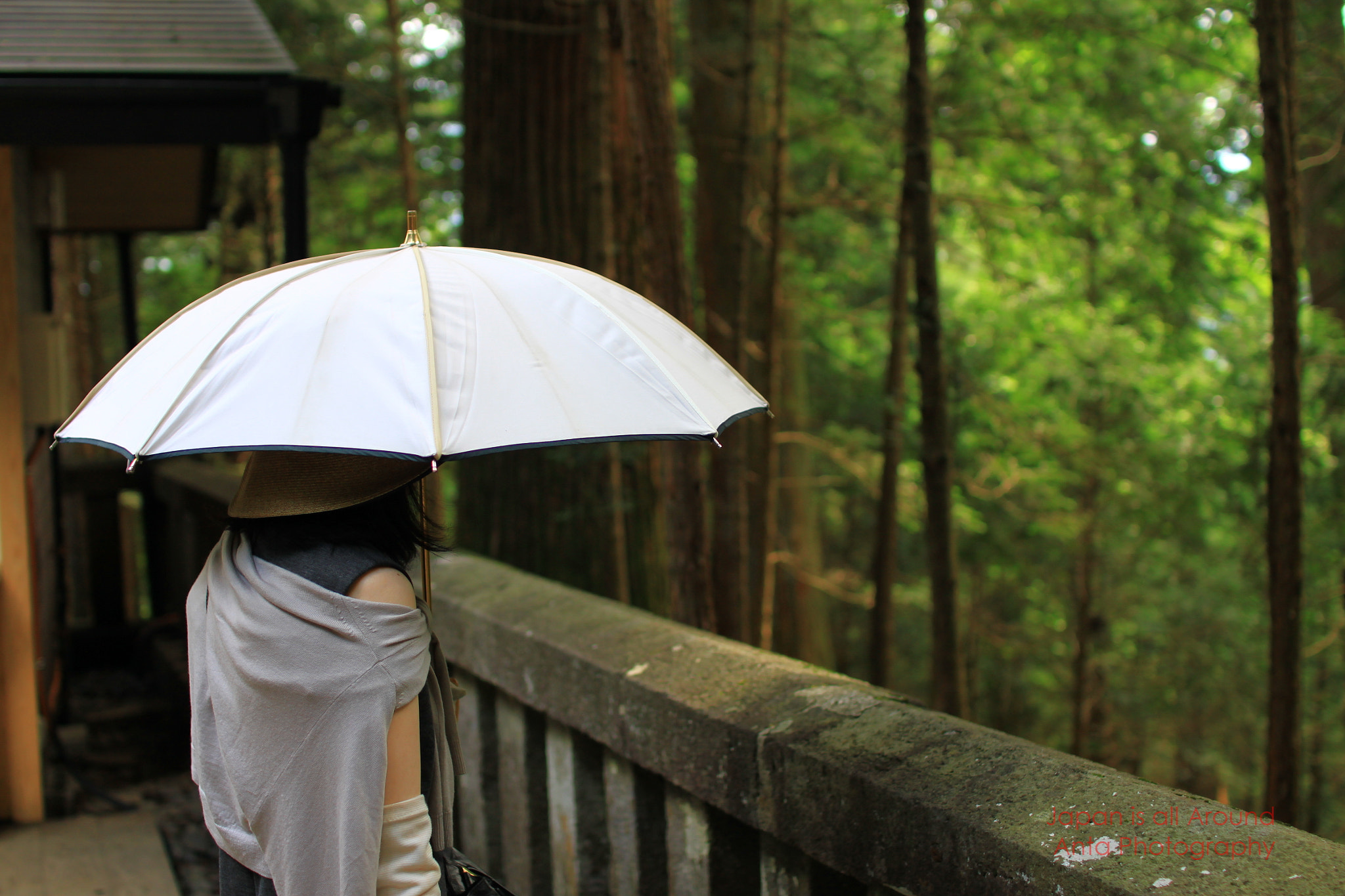 Sigma 30mm F1.4 EX DC HSM sample photo. Waiting for someone photography